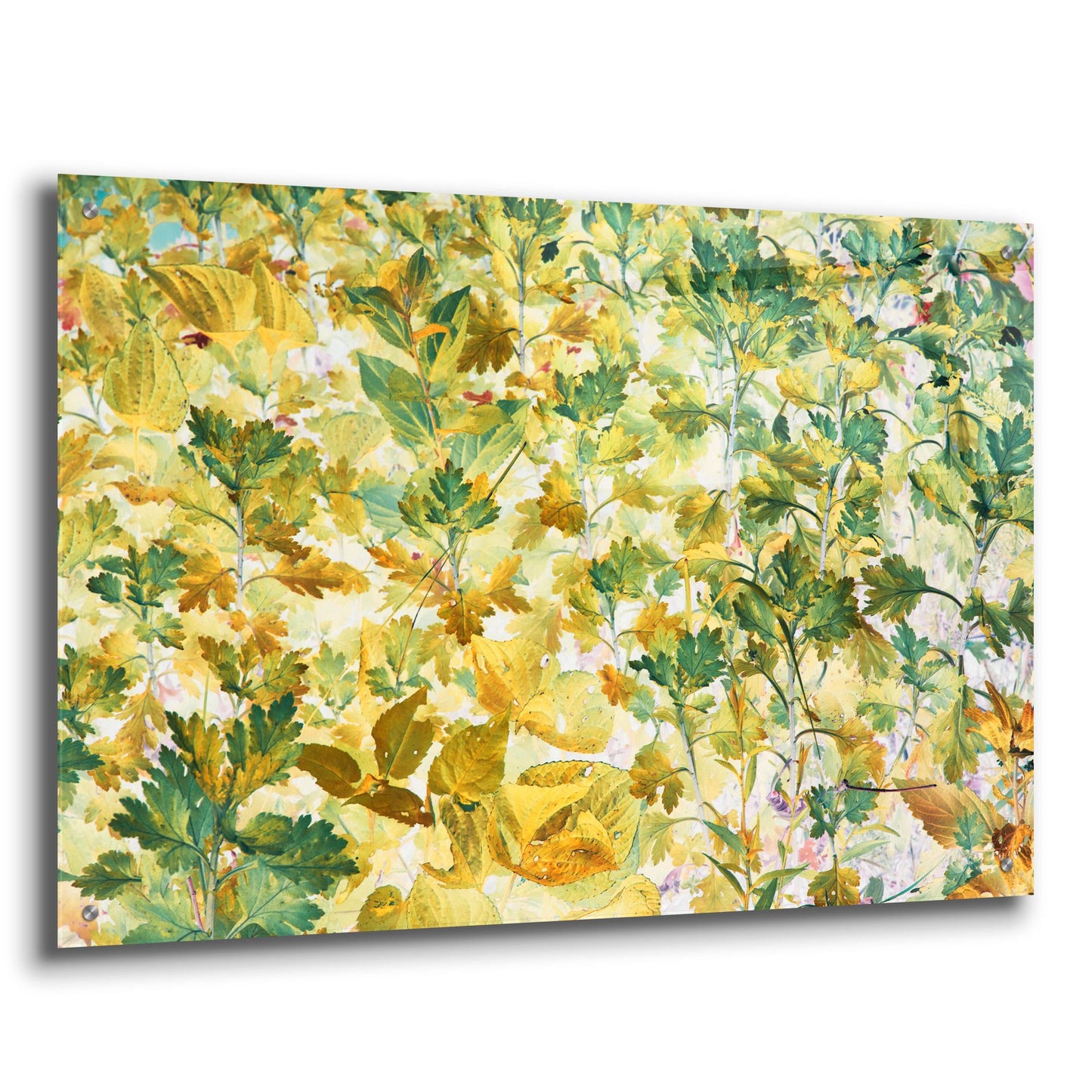 Epic Art ' Autumn Tapestry' by Judy Stalus, Acrylic Glass Wall Art,36x24