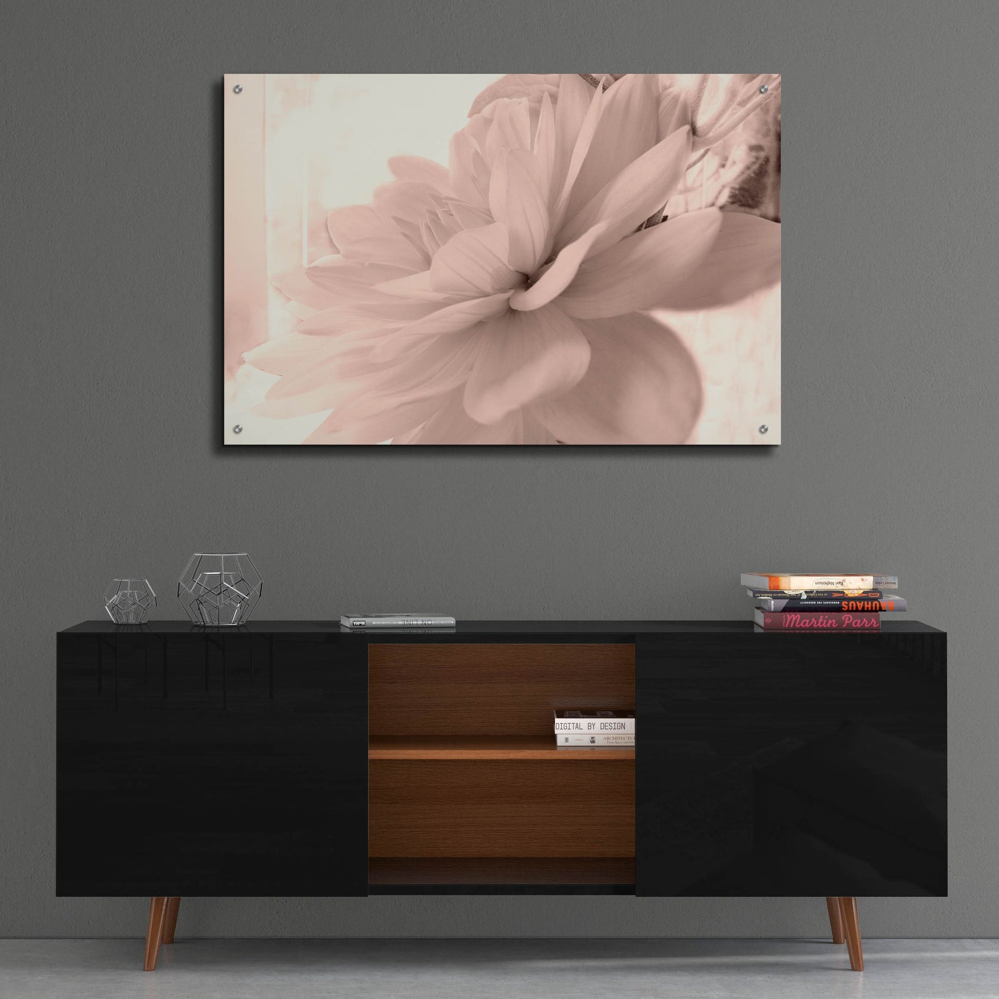 Epic Art ' Pink Dahlia 1' by Judy Stalus, Acrylic Glass Wall Art,36x24