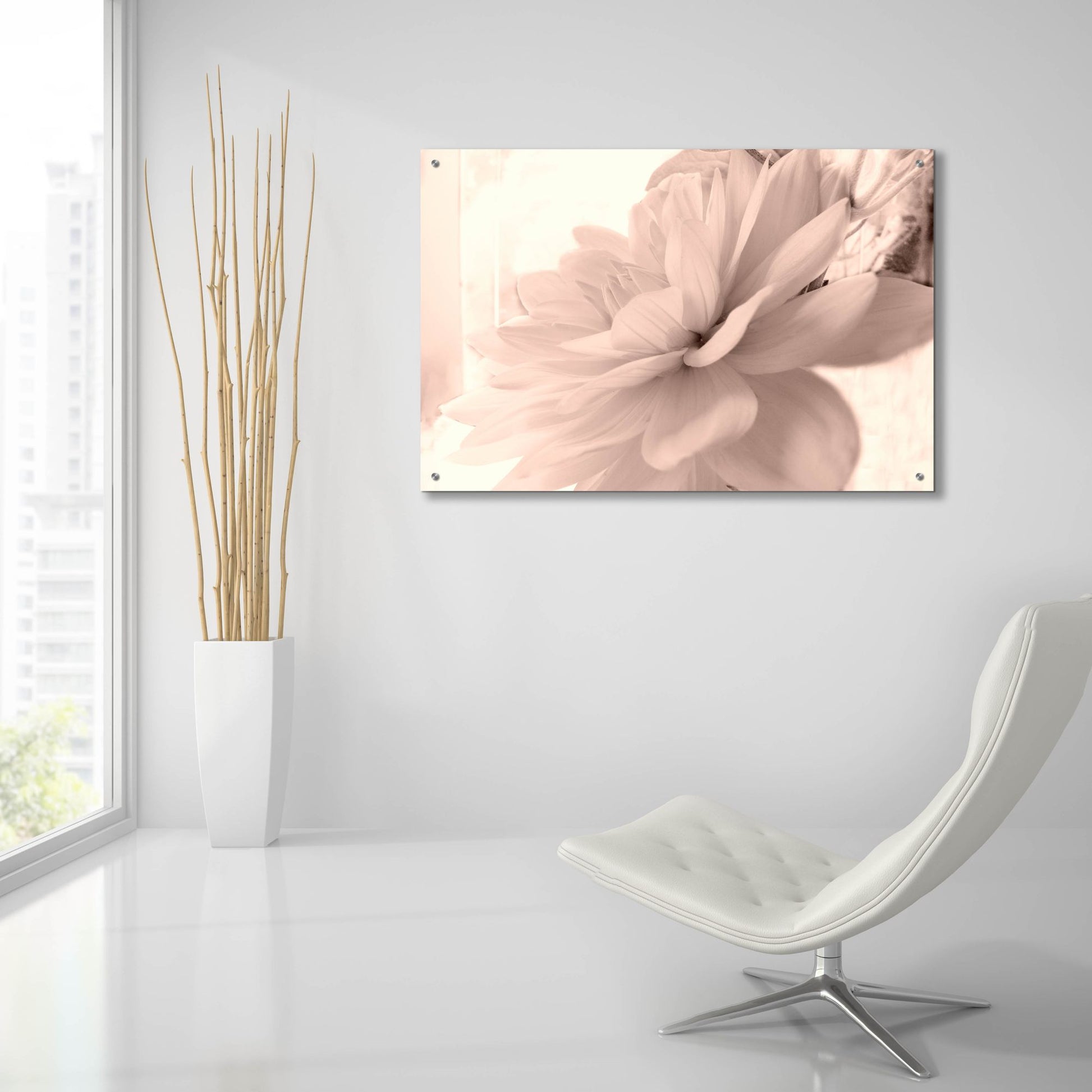 Epic Art ' Pink Dahlia 1' by Judy Stalus, Acrylic Glass Wall Art,36x24