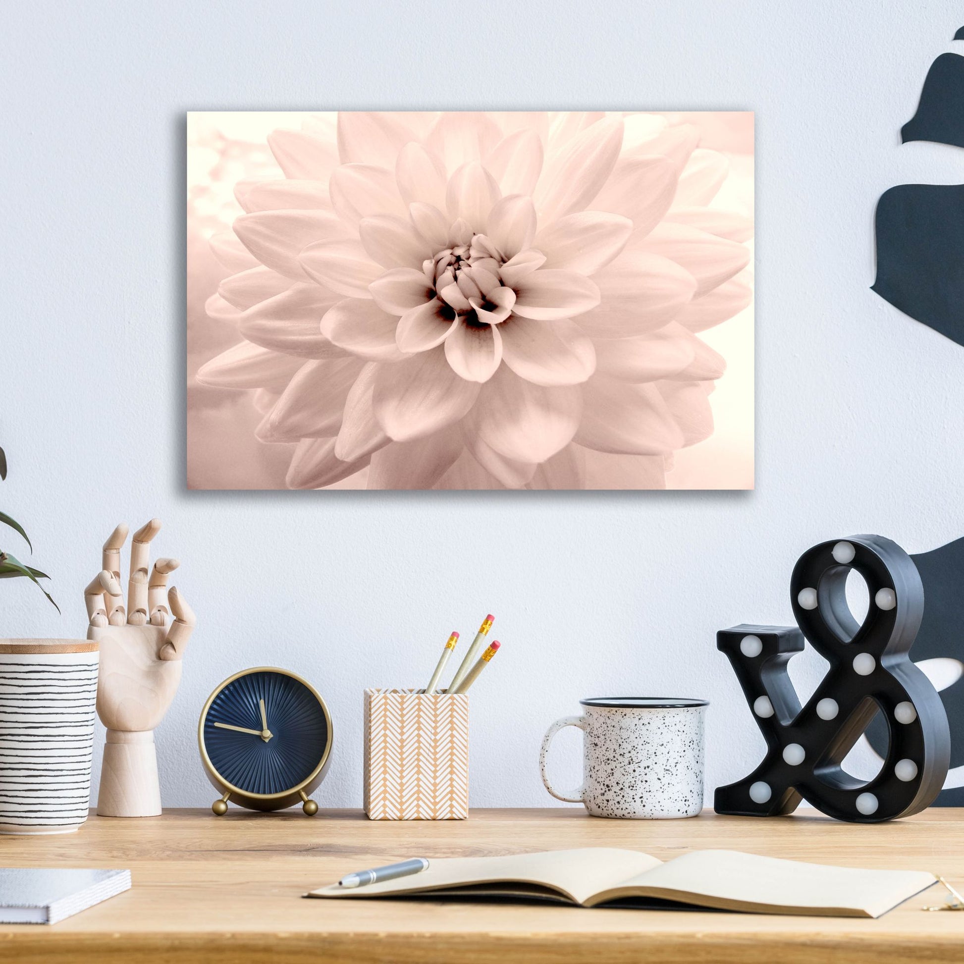 Epic Art ' Pink Dahlia 2' by Judy Stalus, Acrylic Glass Wall Art,16x12