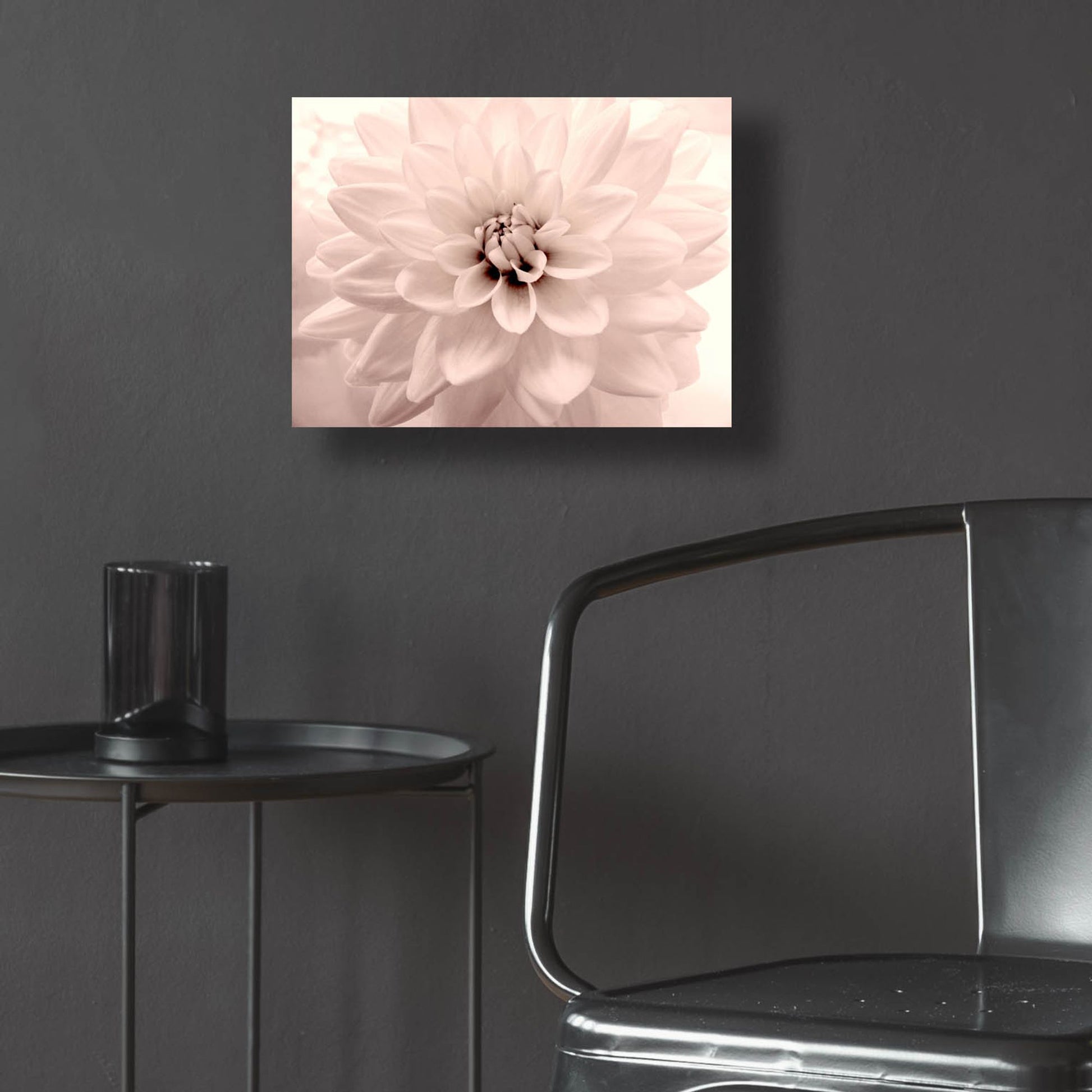 Epic Art ' Pink Dahlia 2' by Judy Stalus, Acrylic Glass Wall Art,16x12