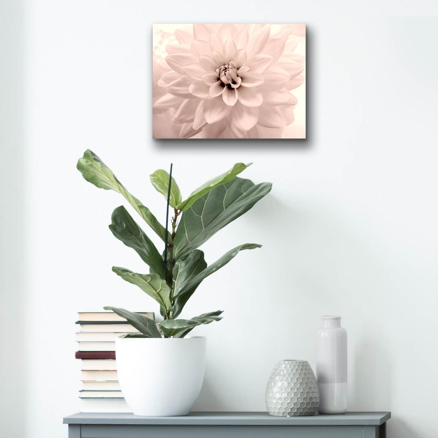 Epic Art ' Pink Dahlia 2' by Judy Stalus, Acrylic Glass Wall Art,16x12