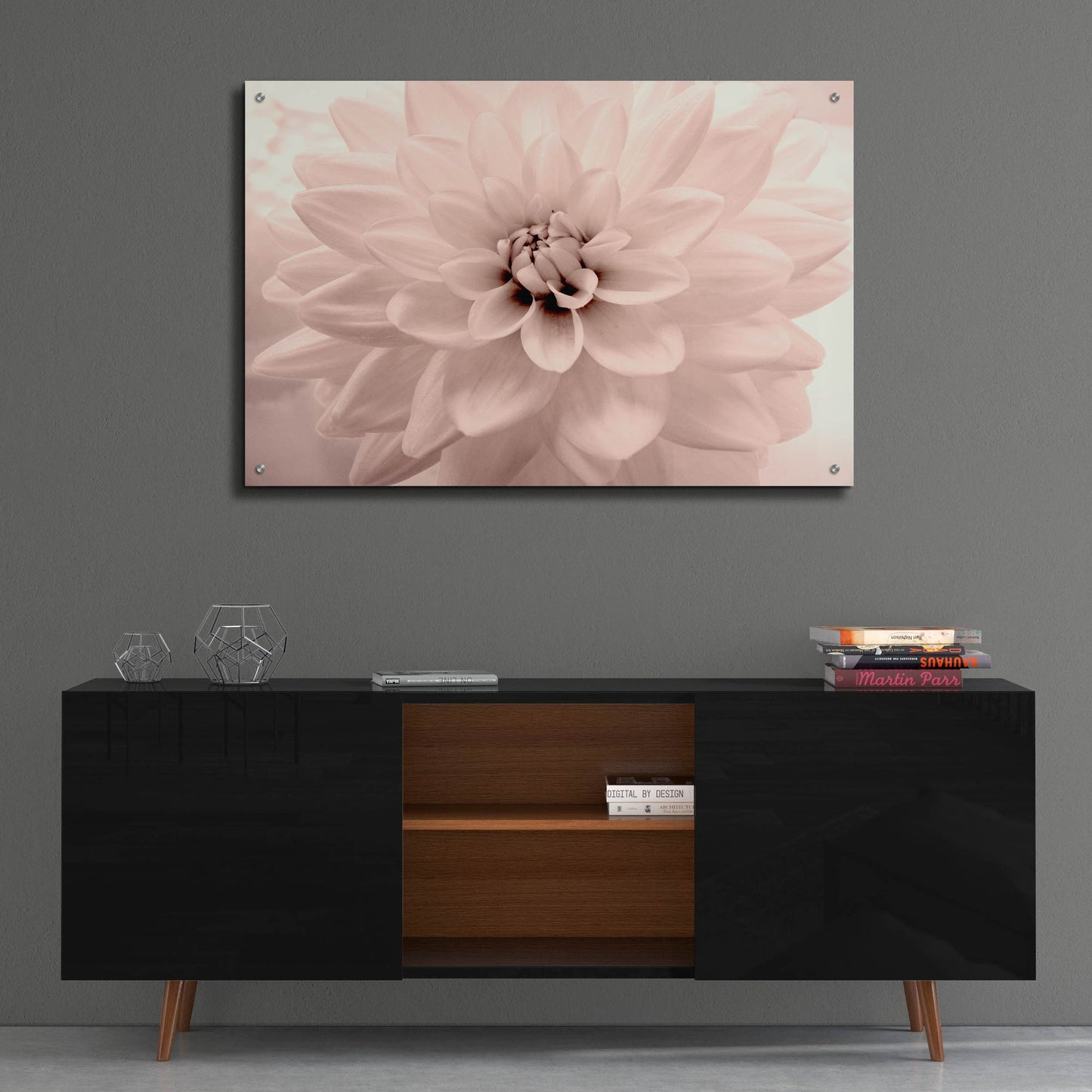 Epic Art ' Pink Dahlia 2' by Judy Stalus, Acrylic Glass Wall Art,36x24