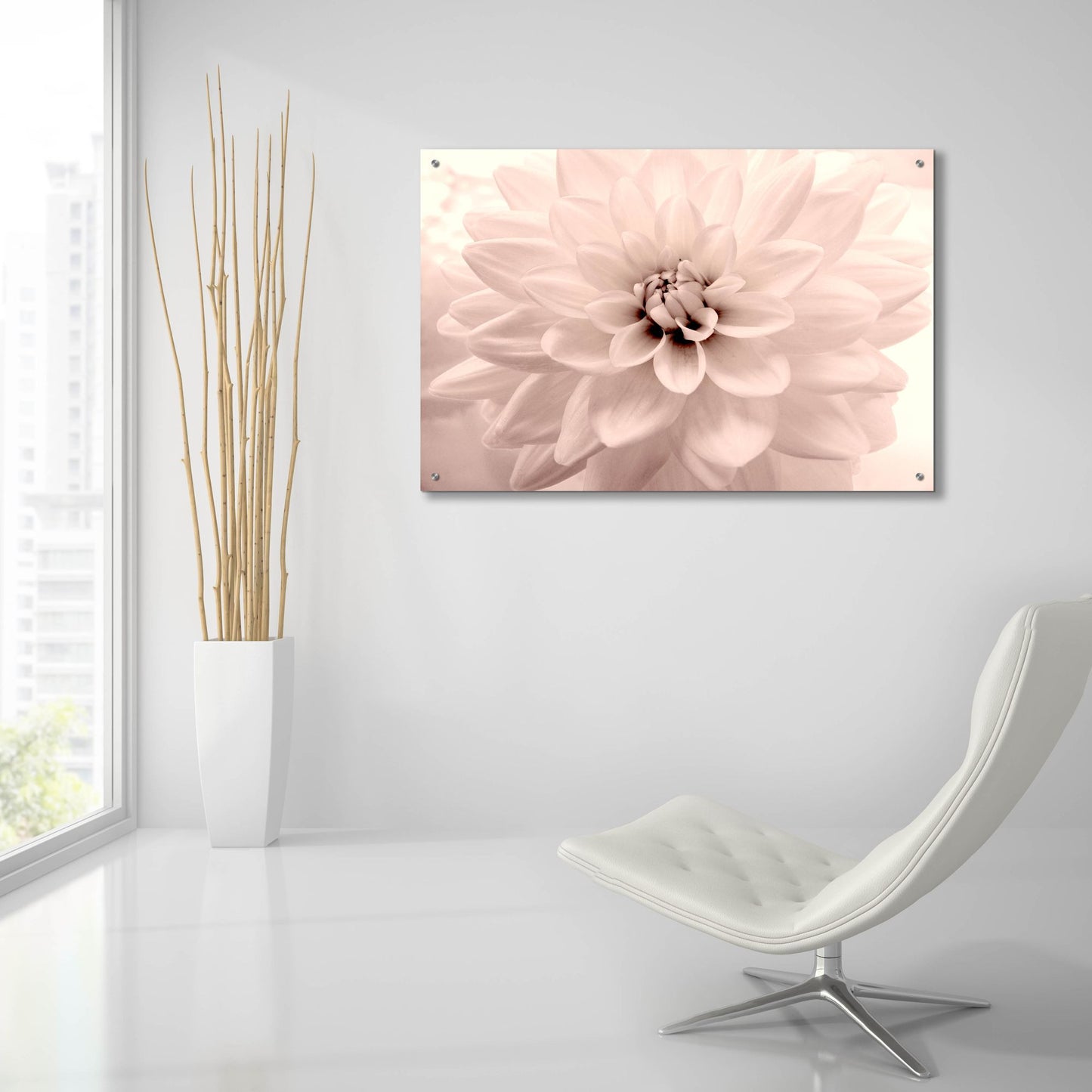 Epic Art ' Pink Dahlia 2' by Judy Stalus, Acrylic Glass Wall Art,36x24