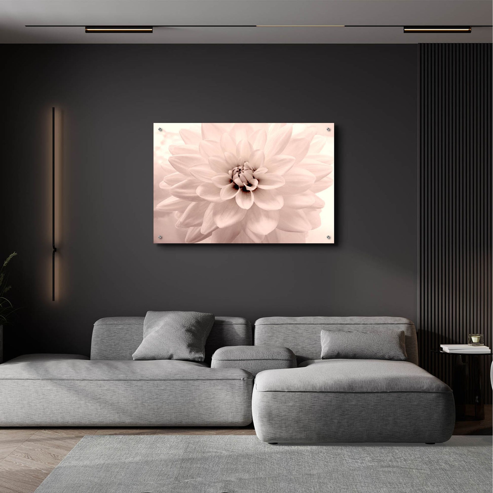 Epic Art ' Pink Dahlia 2' by Judy Stalus, Acrylic Glass Wall Art,36x24