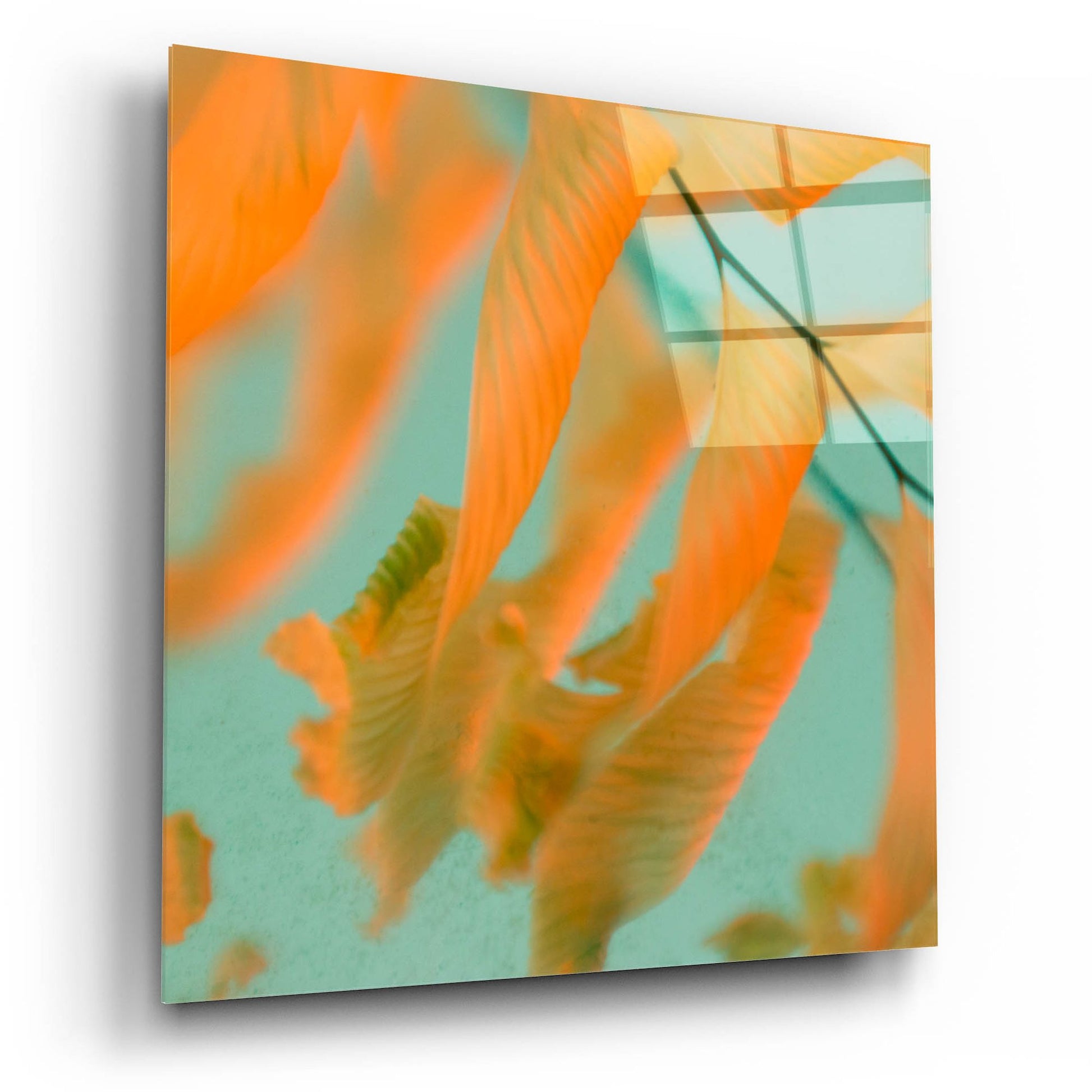 Epic Art ' Fern Dance 1' by Judy Stalus, Acrylic Glass Wall Art,12x12