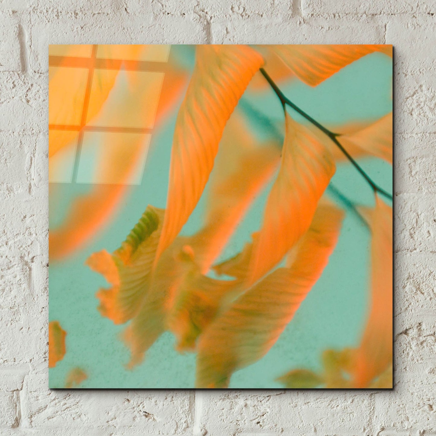 Epic Art ' Fern Dance 1' by Judy Stalus, Acrylic Glass Wall Art,12x12