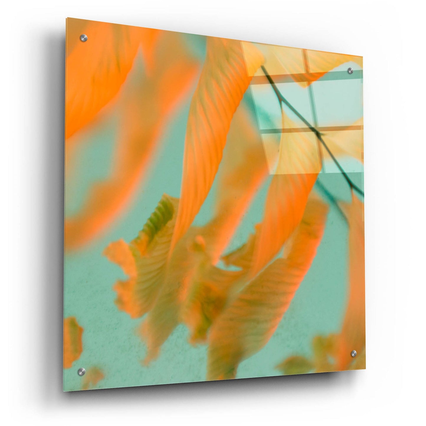 Epic Art ' Fern Dance 1' by Judy Stalus, Acrylic Glass Wall Art,24x24