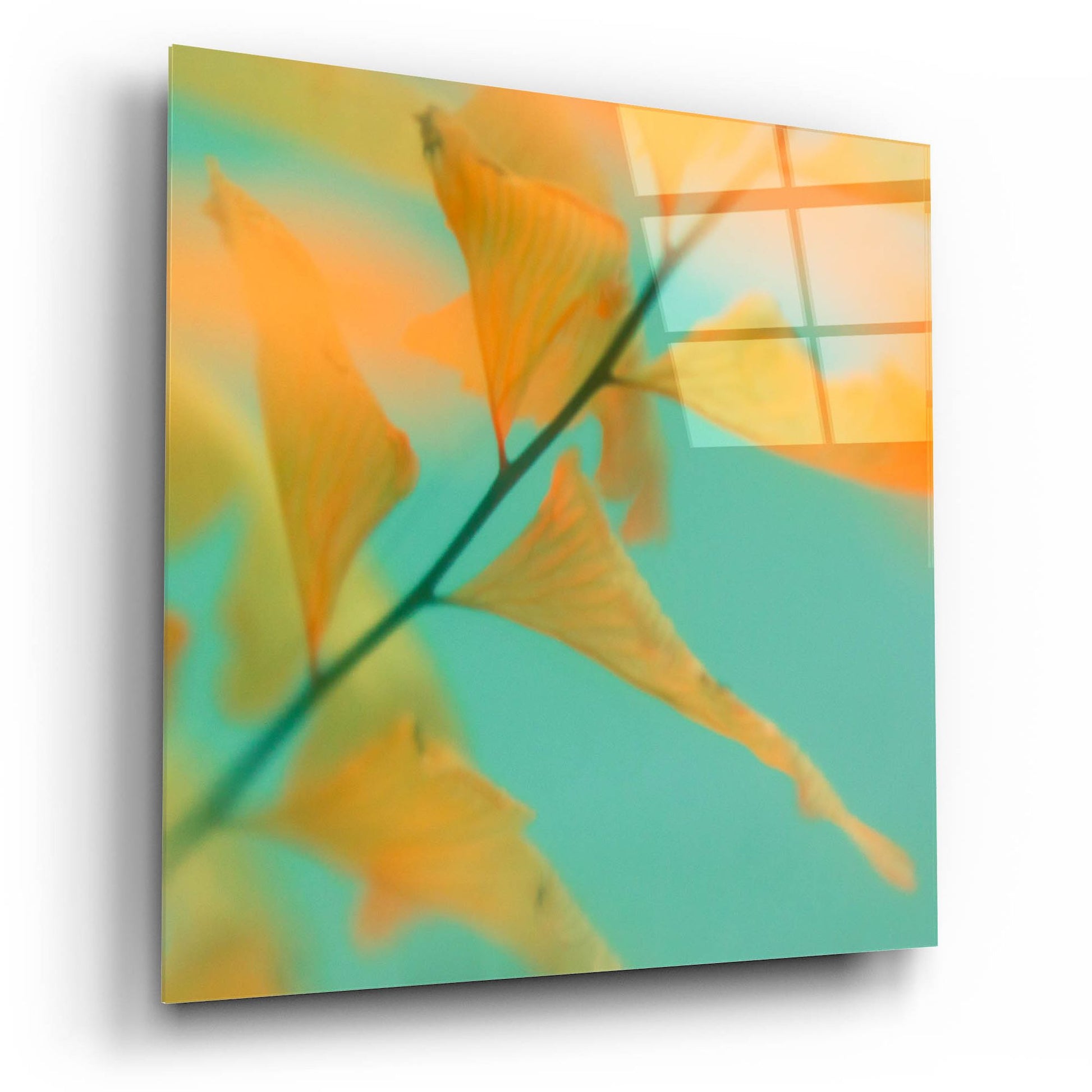 Epic Art ' Fern Dance 2' by Judy Stalus, Acrylic Glass Wall Art,12x12