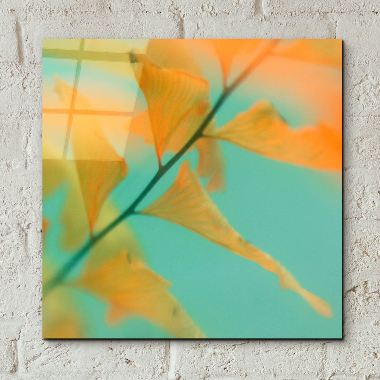 Epic Art ' Fern Dance 2' by Judy Stalus, Acrylic Glass Wall Art,12x12
