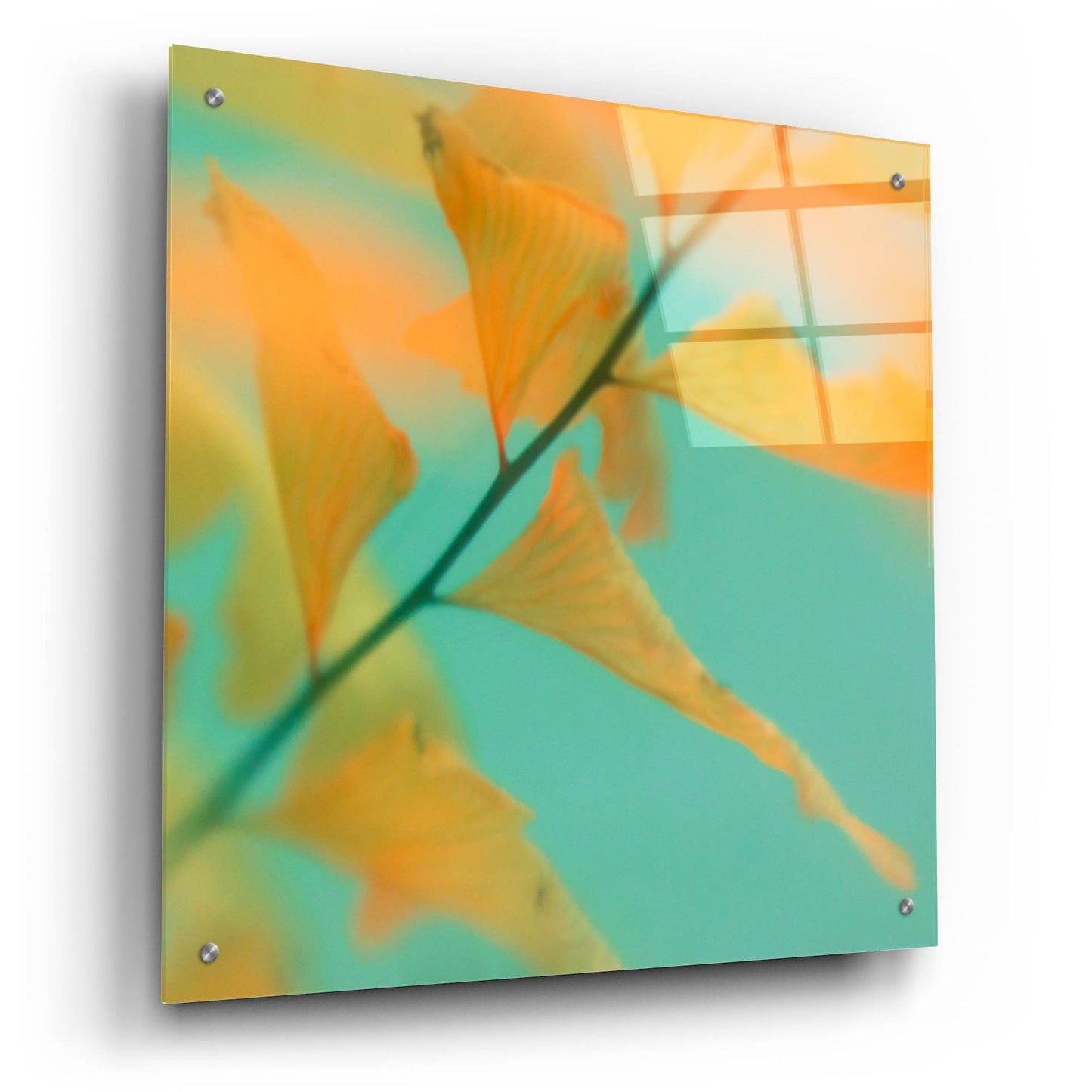 Epic Art ' Fern Dance 2' by Judy Stalus, Acrylic Glass Wall Art,24x24