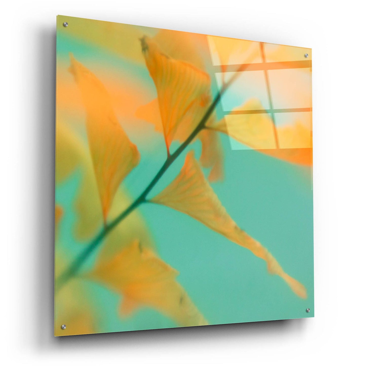 Epic Art ' Fern Dance 2' by Judy Stalus, Acrylic Glass Wall Art,36x36