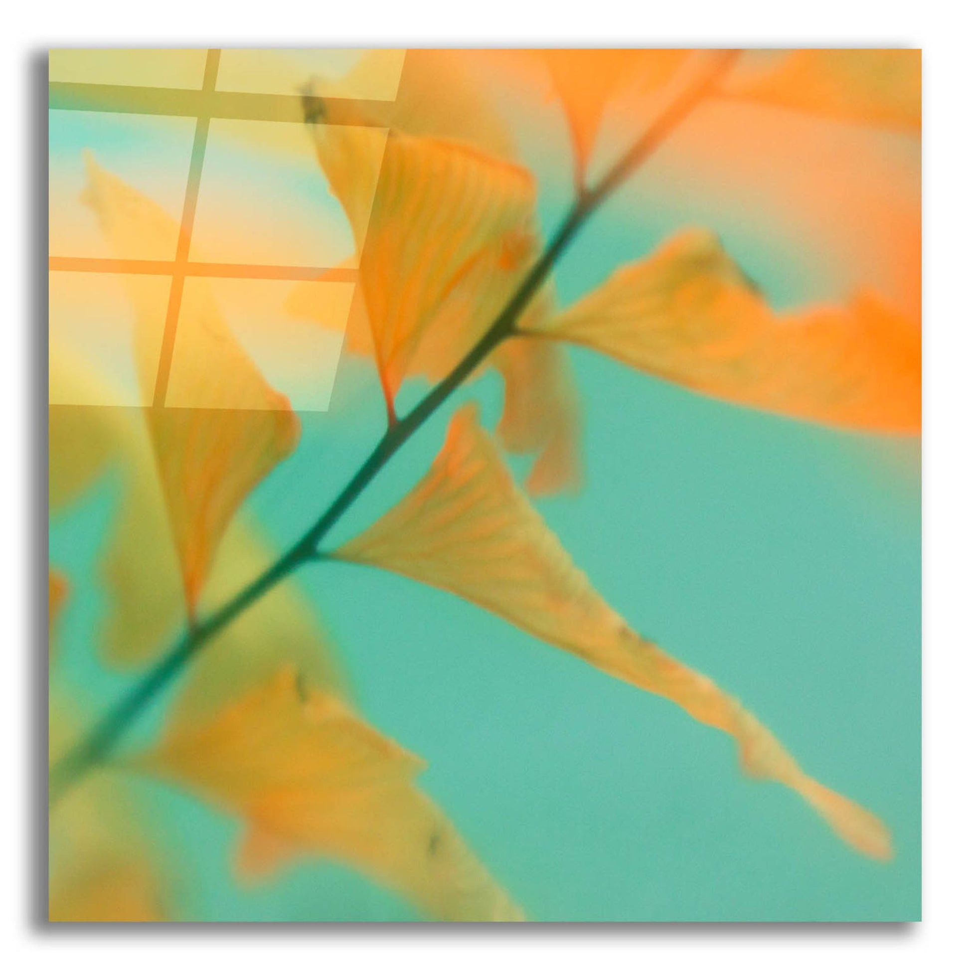 Epic Art ' Fern Dance 2' by Judy Stalus, Acrylic Glass Wall Art