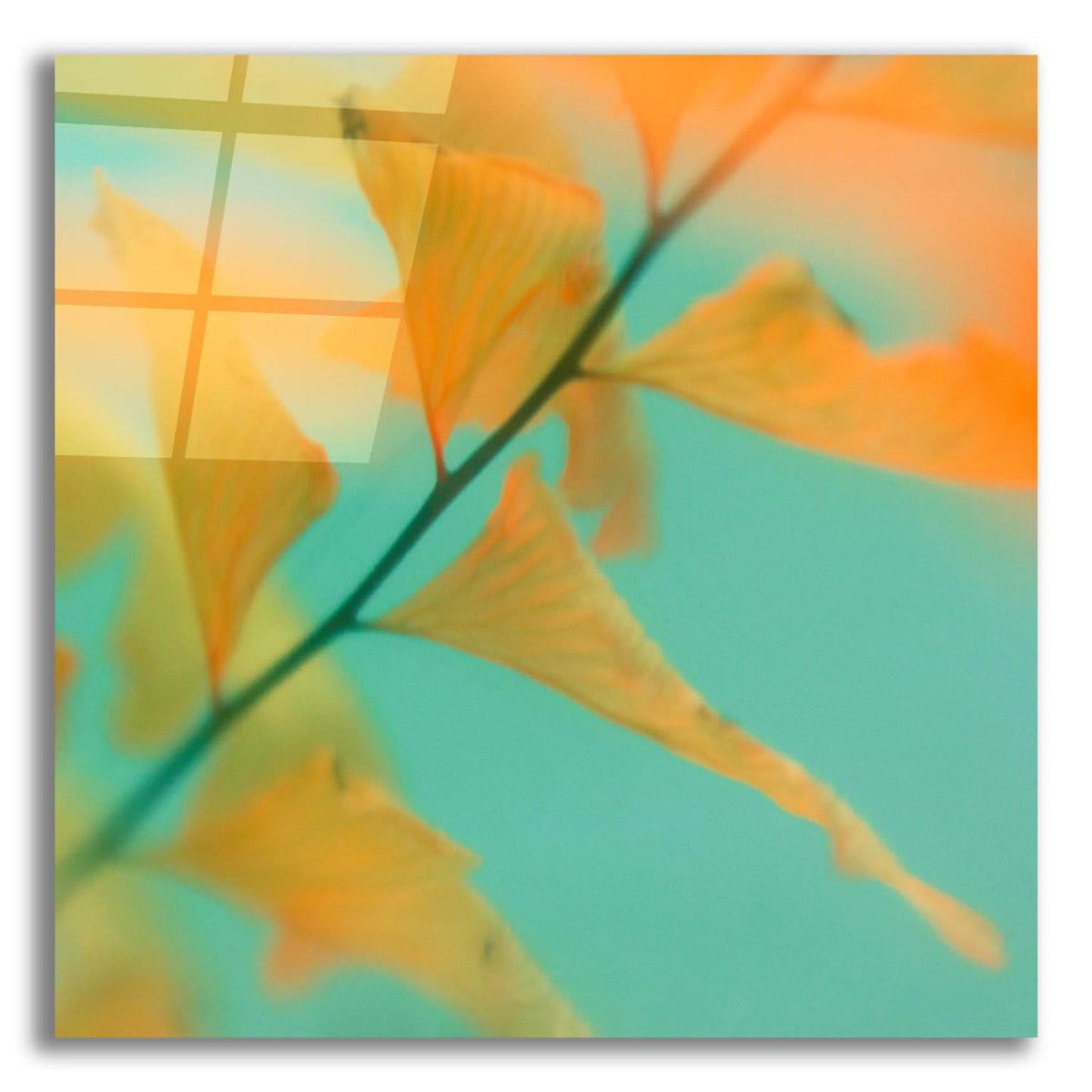Epic Art ' Fern Dance 2' by Judy Stalus, Acrylic Glass Wall Art