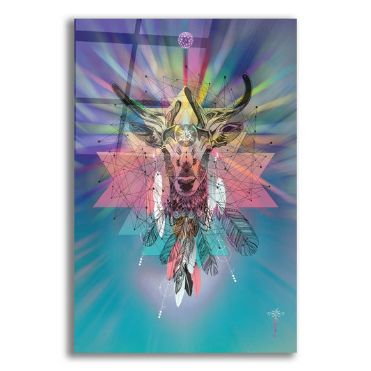 Epic Art ' Cosmic Deer' by Karin Roberts, Acrylic Glass Wall Art