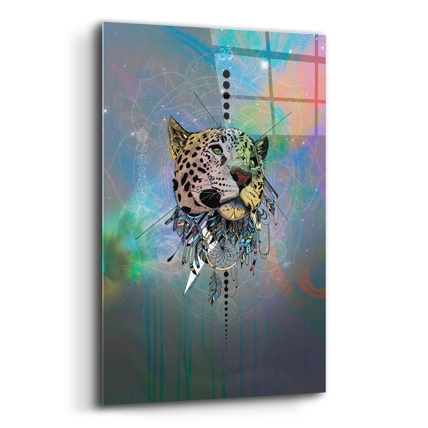 Epic Art ' Cosmic Leopard' by Karin Roberts, Acrylic Glass Wall Art,12x16