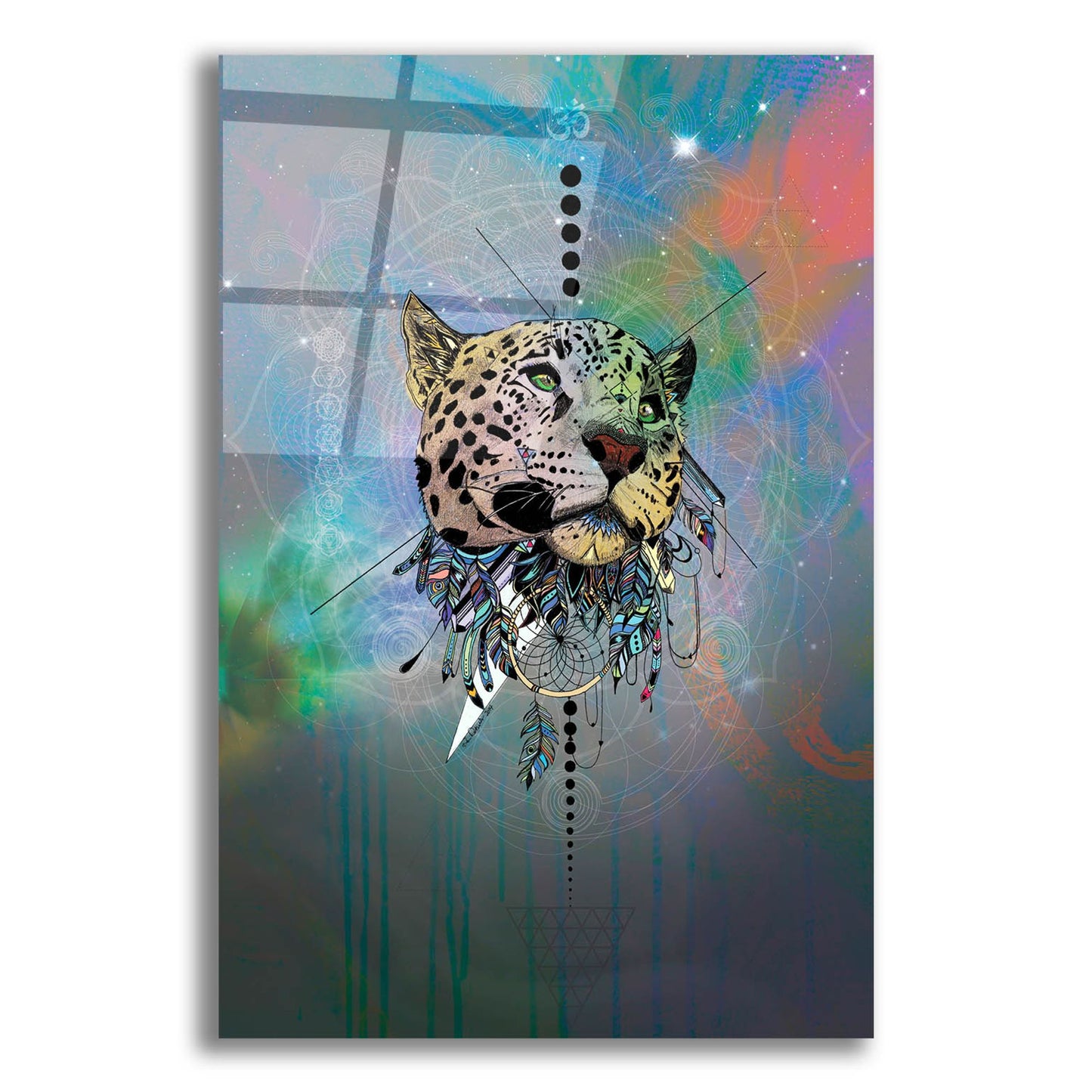 Epic Art ' Cosmic Leopard' by Karin Roberts, Acrylic Glass Wall Art