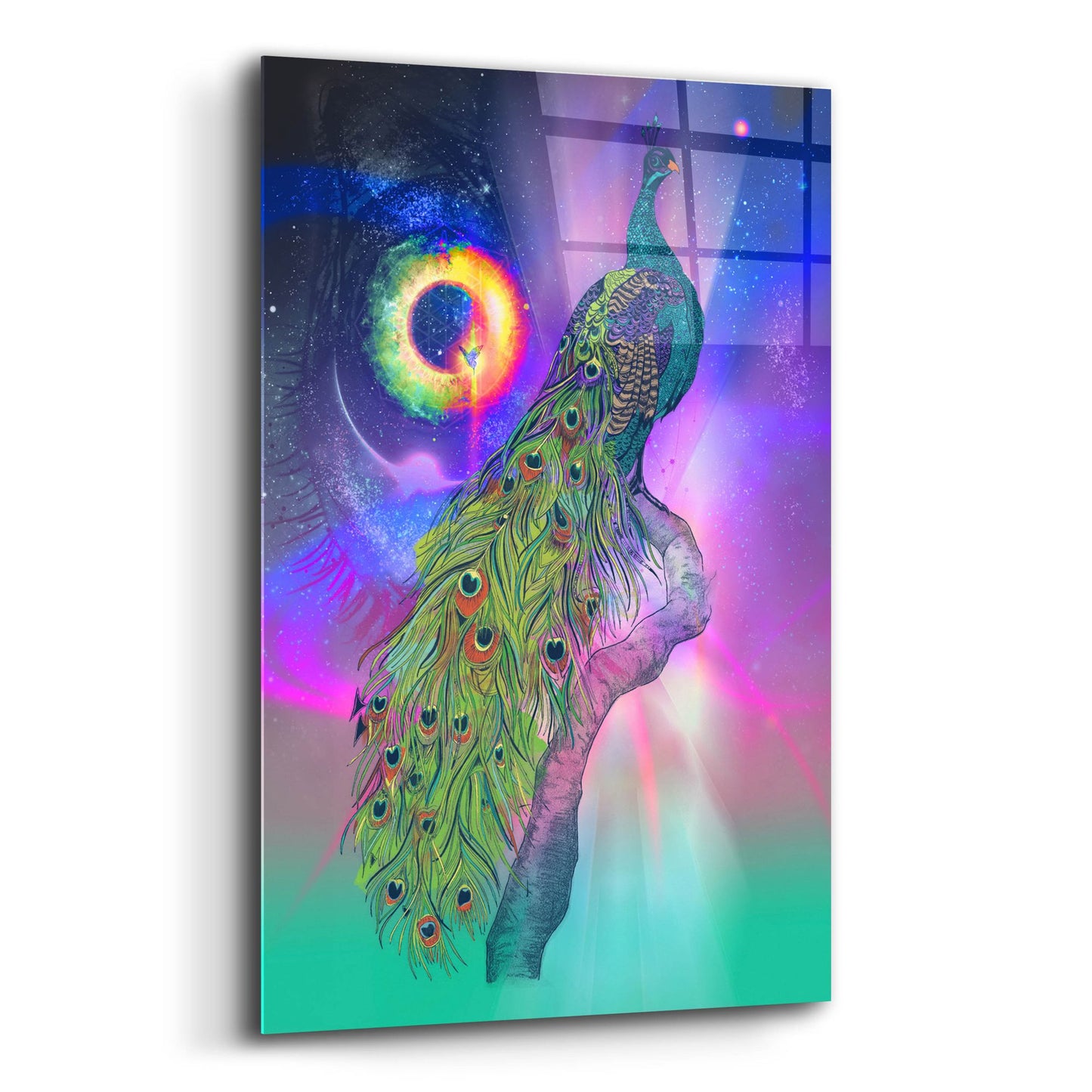 Epic Art ' Cosmic Peacock' by Karin Roberts, Acrylic Glass Wall Art,16x24
