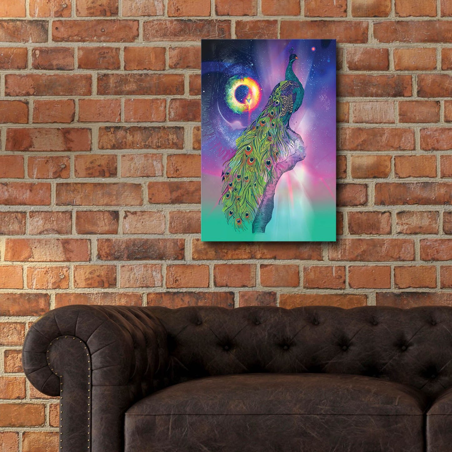 Epic Art ' Cosmic Peacock' by Karin Roberts, Acrylic Glass Wall Art,16x24