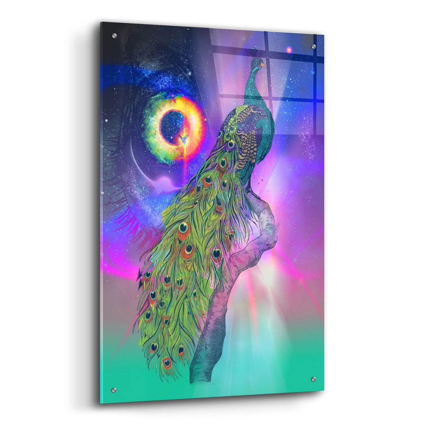 Epic Art ' Cosmic Peacock' by Karin Roberts, Acrylic Glass Wall Art,24x36
