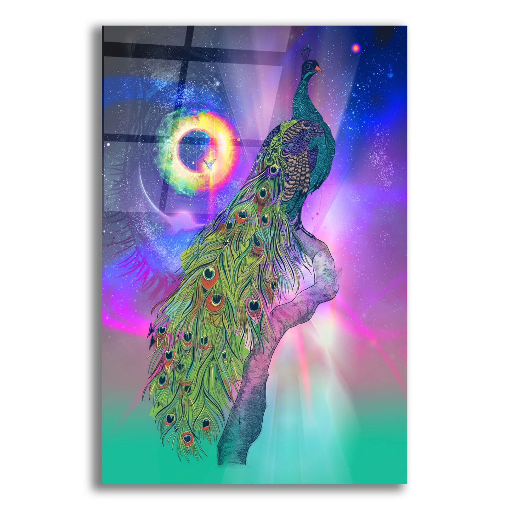 Epic Art ' Cosmic Peacock' by Karin Roberts, Acrylic Glass Wall Art