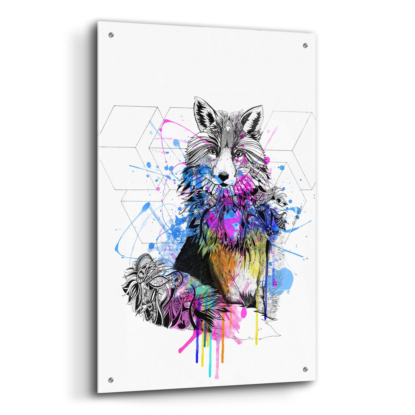 Epic Art ' Fox' by Karin Roberts, Acrylic Glass Wall Art,24x36