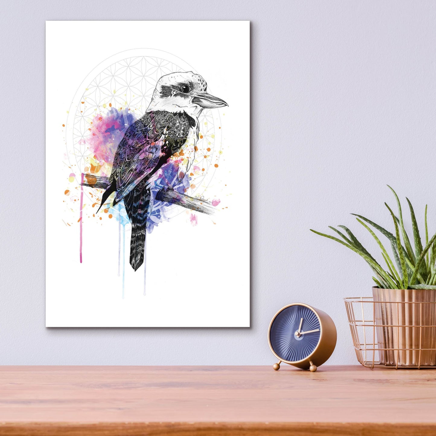 Epic Art ' Kookaburra' by Karin Roberts, Acrylic Glass Wall Art,12x16