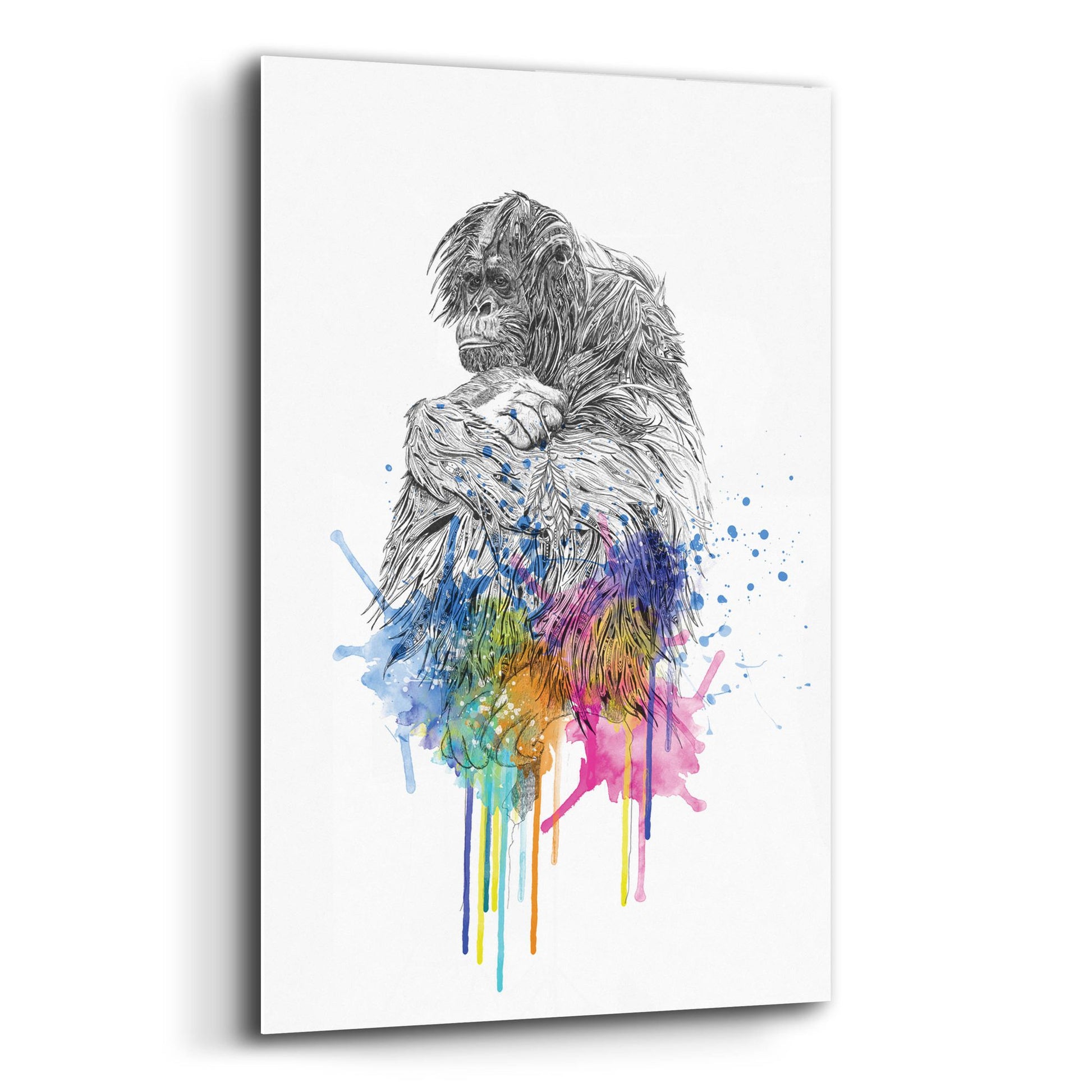 Epic Art ' Orangutan' by Karin Roberts, Acrylic Glass Wall Art,12x16