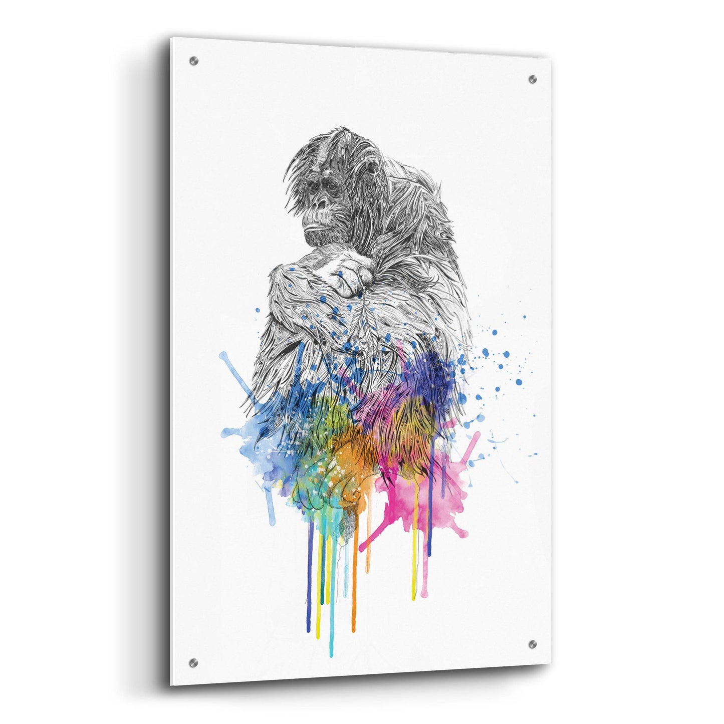 Epic Art ' Orangutan' by Karin Roberts, Acrylic Glass Wall Art,24x36