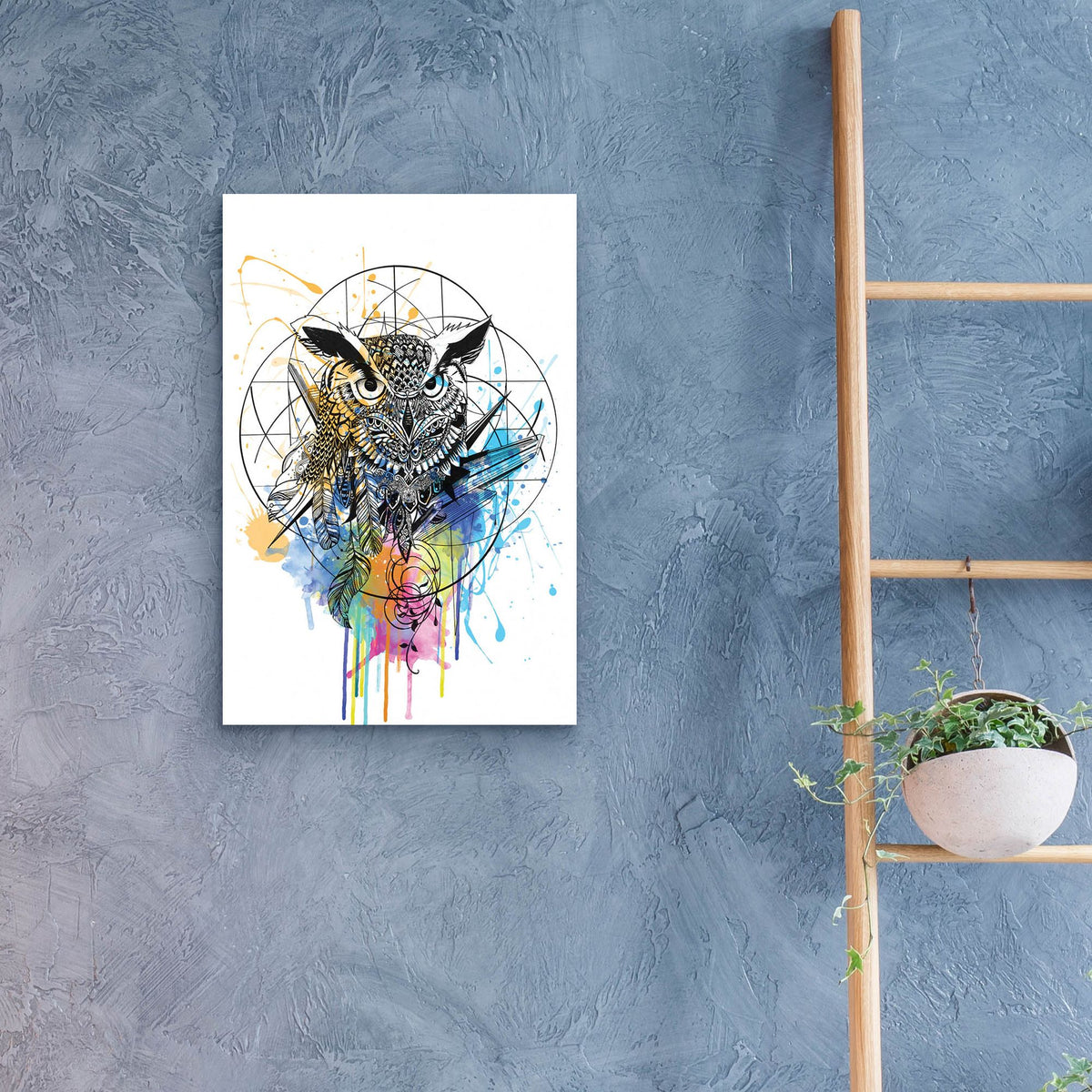 Epic Art ' Owl' by Karin Roberts, Acrylic Glass Wall Art,16x24