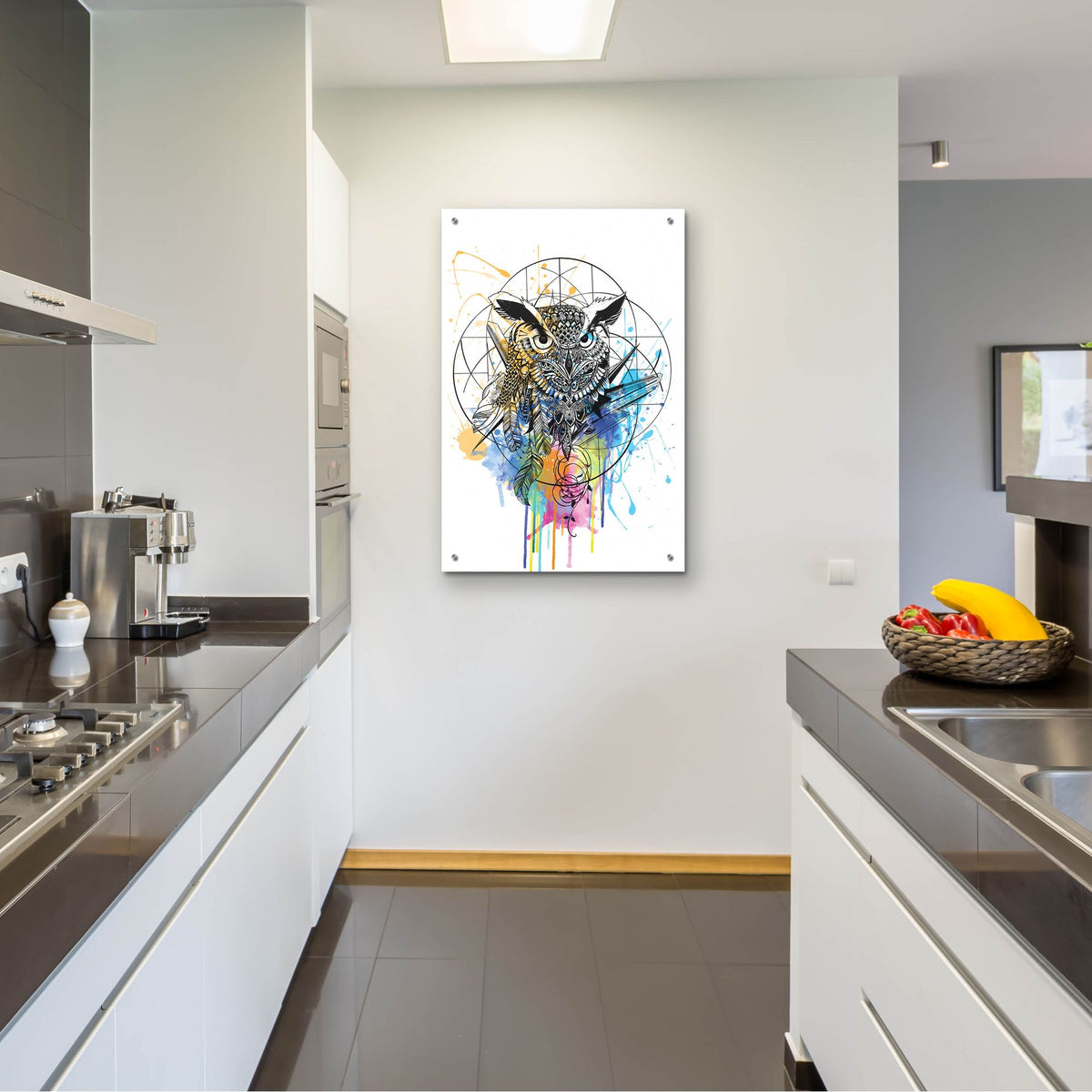 Epic Art ' Owl' by Karin Roberts, Acrylic Glass Wall Art,24x36