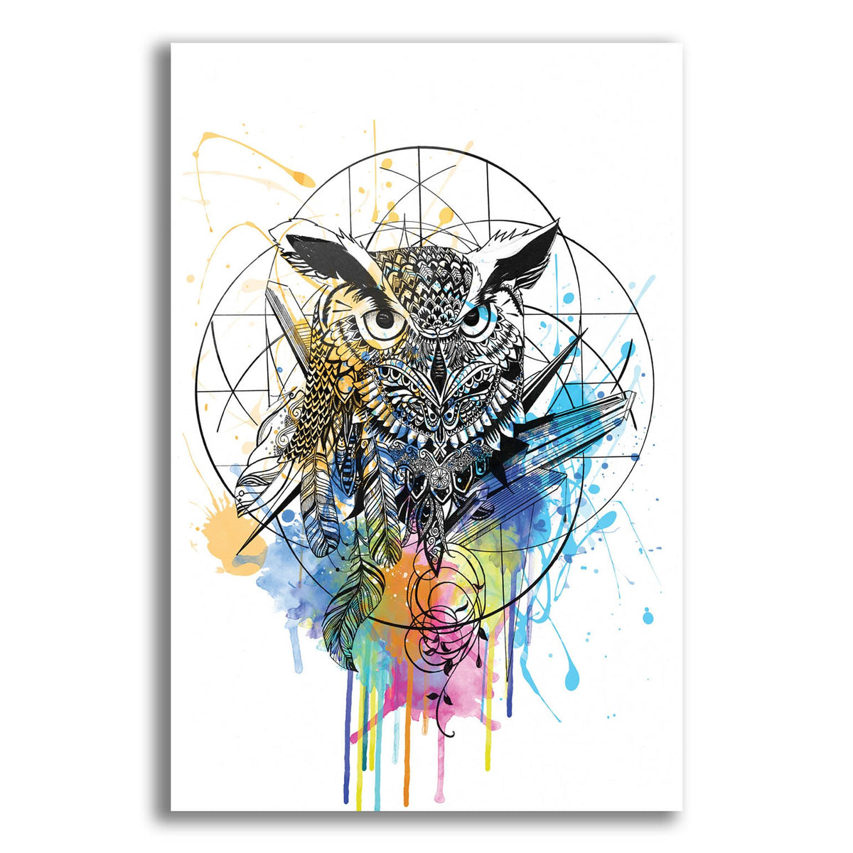 Epic Art ' Owl' by Karin Roberts, Acrylic Glass Wall Art