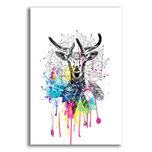 Epic Art ' Deer' by Karin Roberts, Acrylic Glass Wall Art