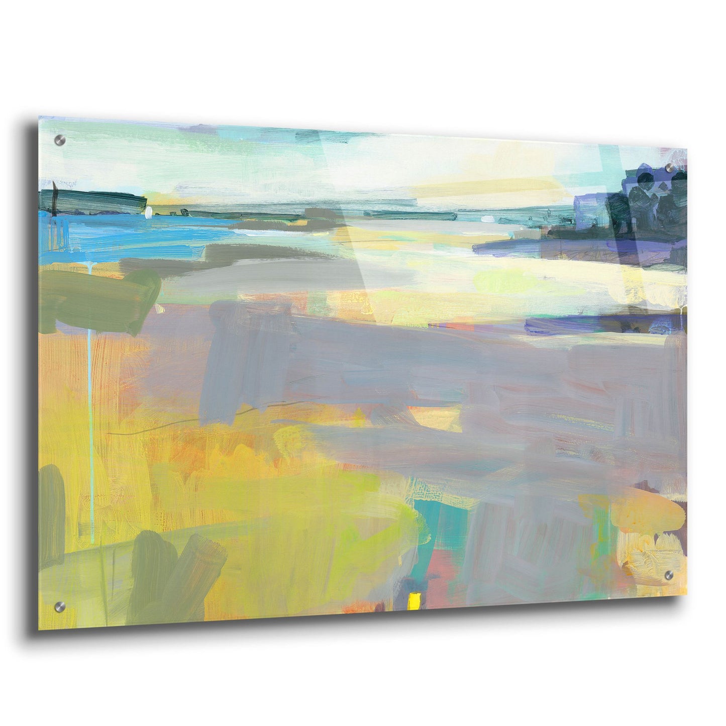 Epic Art ' Rachel Carson Reserve' by Kathleen Robbins, Acrylic Glass Wall Art,36x24