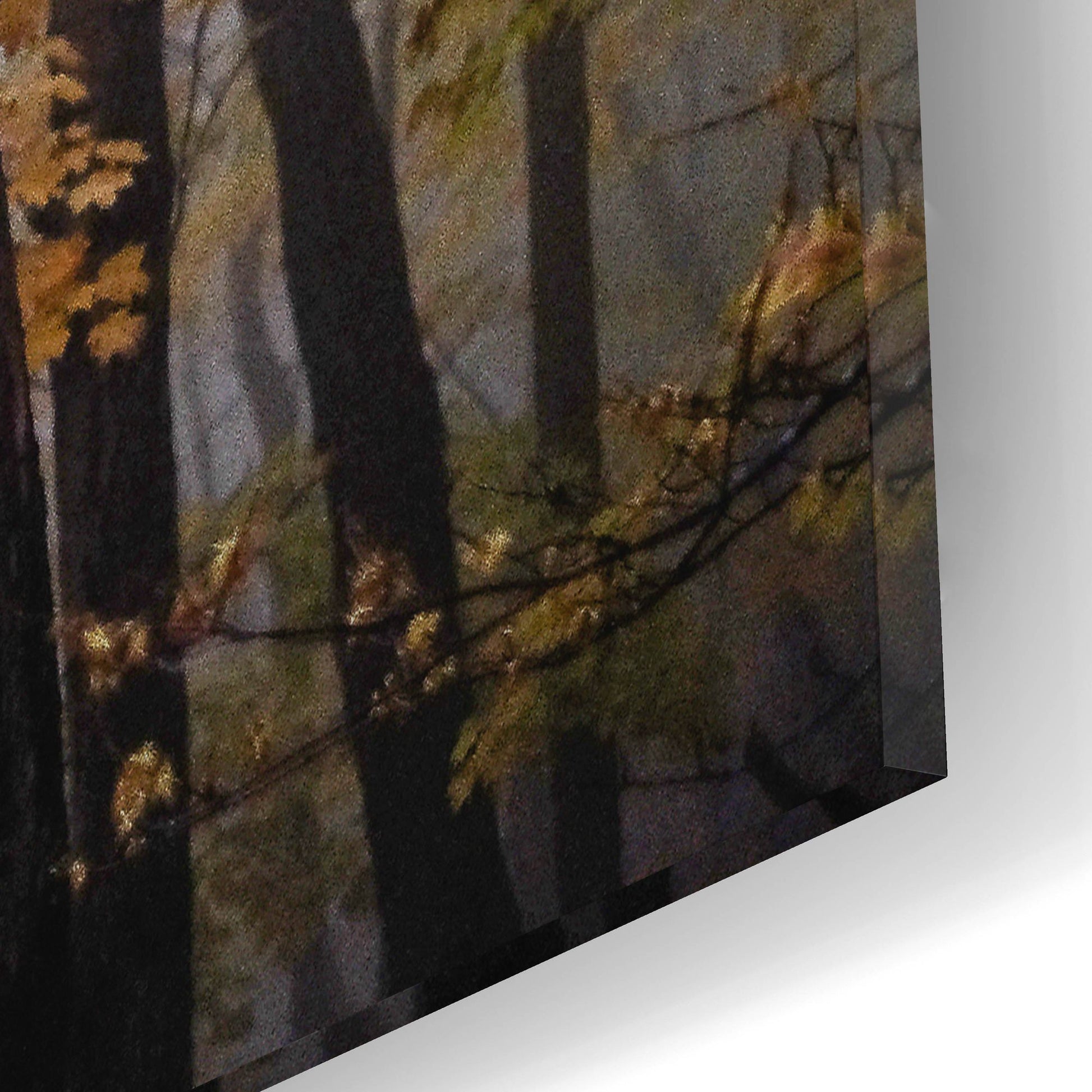 Epic Art ' October Trees' by Kelly Sinclair, Acrylic Glass Wall Art,16x12