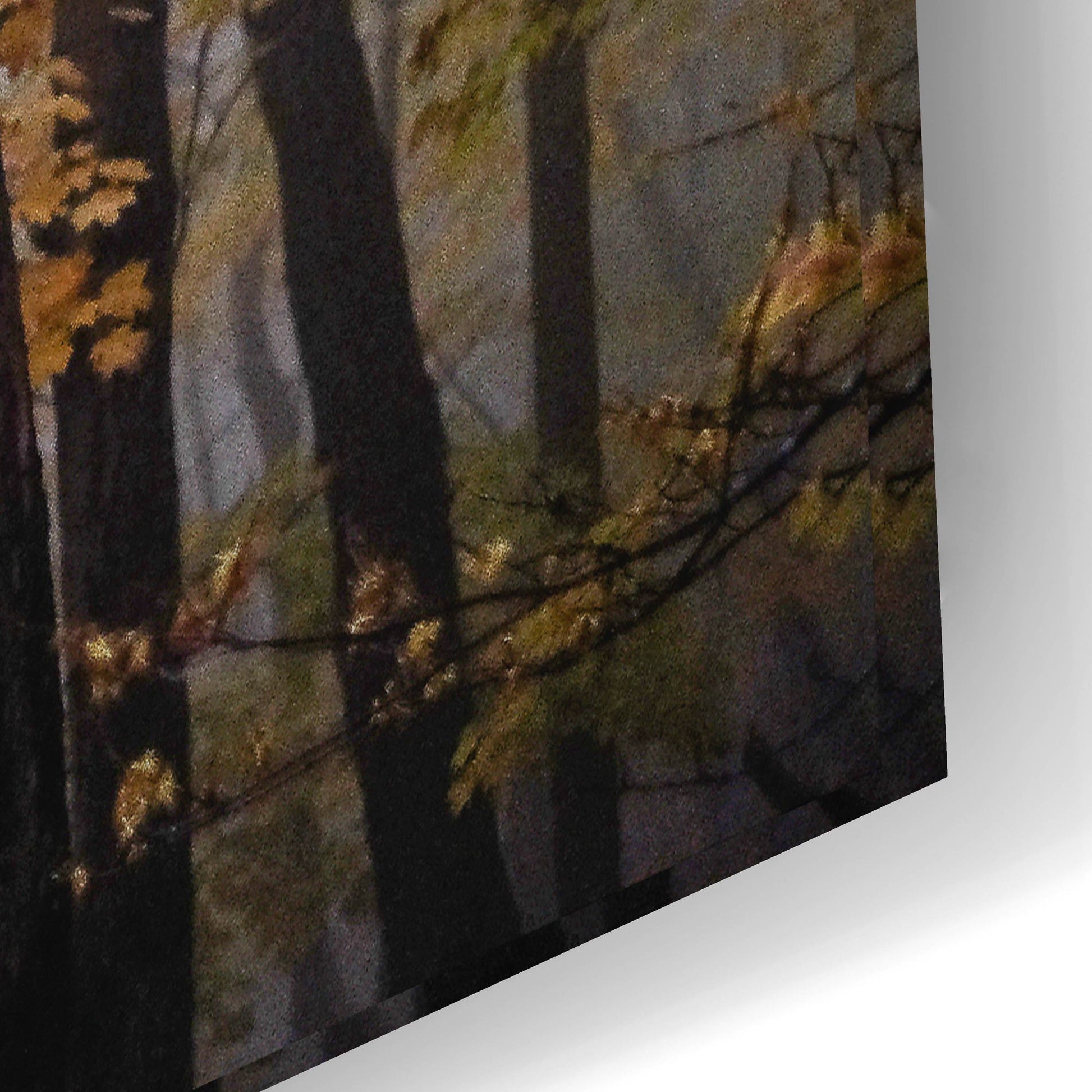 Epic Art ' October Trees' by Kelly Sinclair, Acrylic Glass Wall Art,24x16