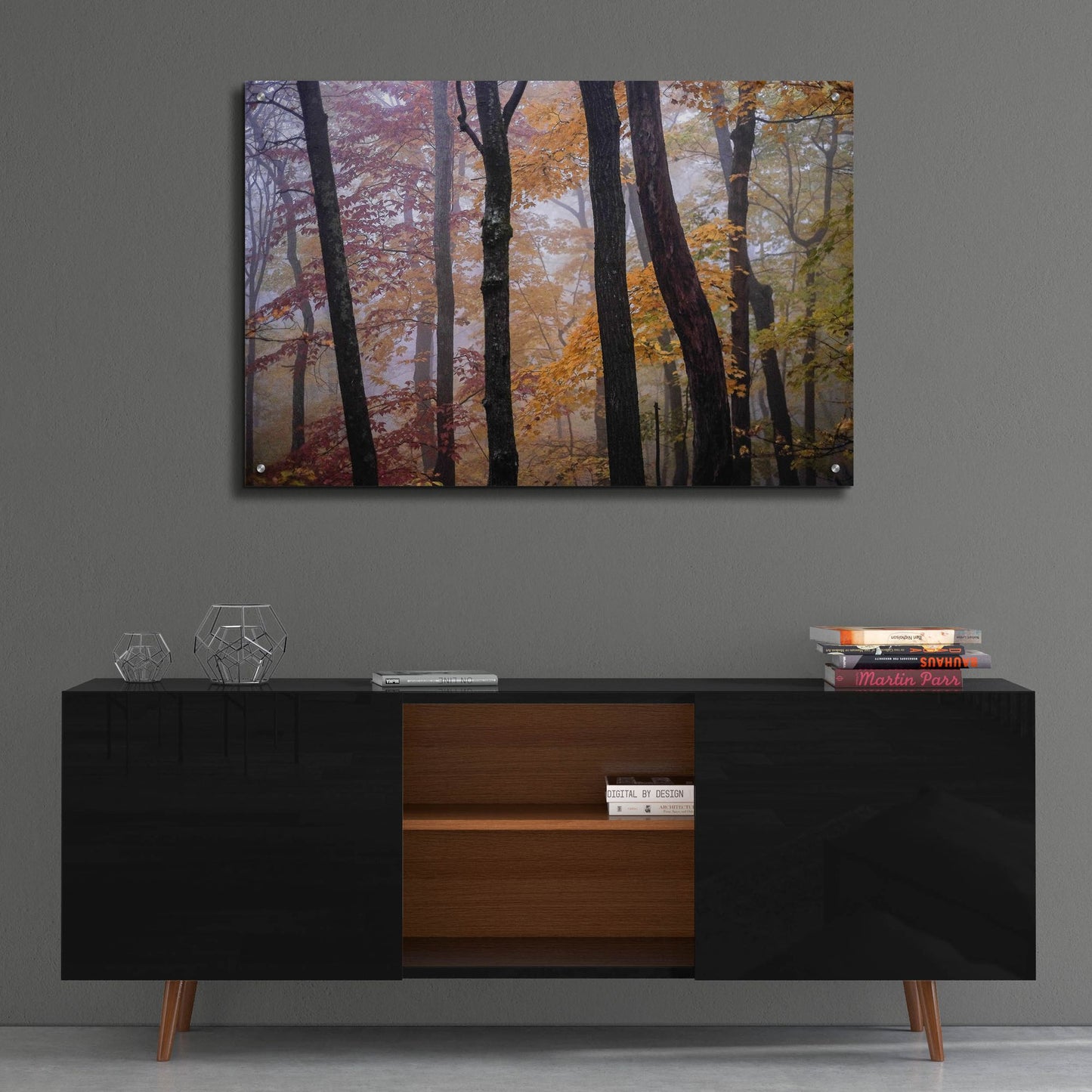 Epic Art ' October Trees' by Kelly Sinclair, Acrylic Glass Wall Art,36x24