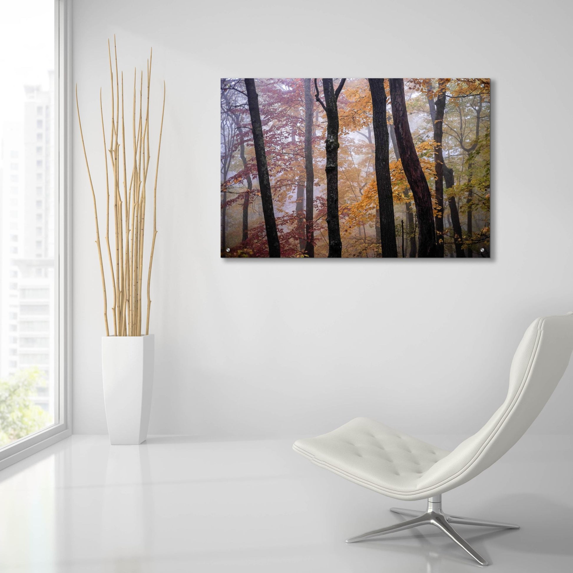 Epic Art ' October Trees' by Kelly Sinclair, Acrylic Glass Wall Art,36x24