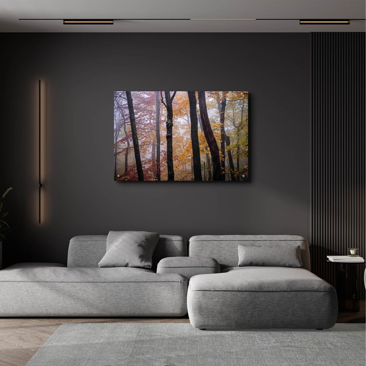 Epic Art ' October Trees' by Kelly Sinclair, Acrylic Glass Wall Art,36x24