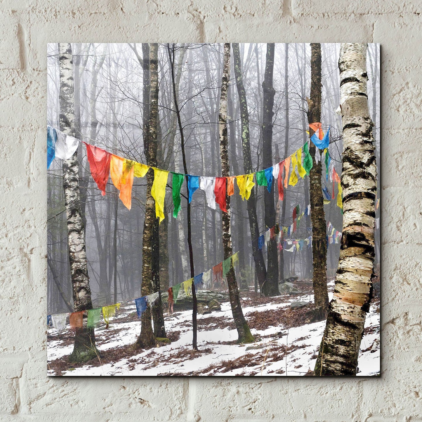 Epic Art ' Prayer Flags, Woodstock, NY' by Kelly Sinclair, Acrylic Glass Wall Art,12x12