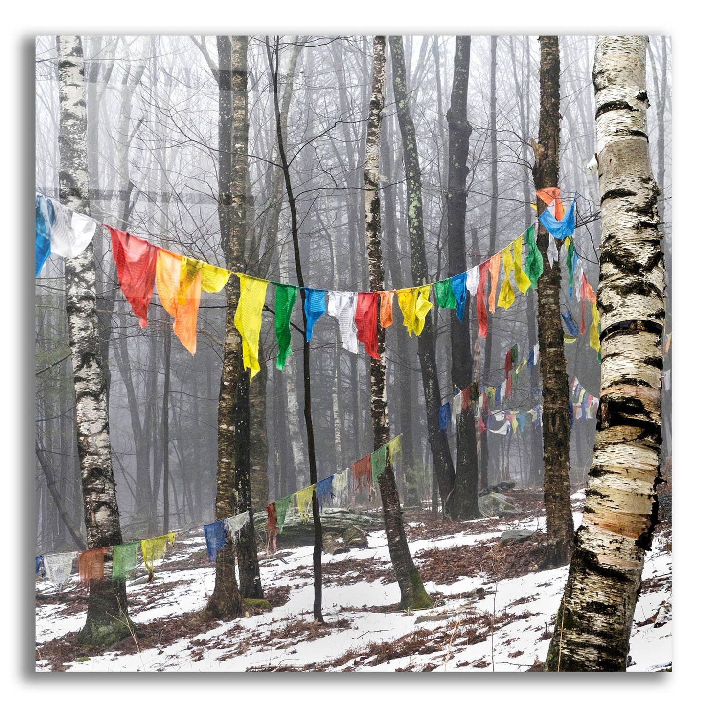 Epic Art ' Prayer Flags, Woodstock, NY' by Kelly Sinclair, Acrylic Glass Wall Art
