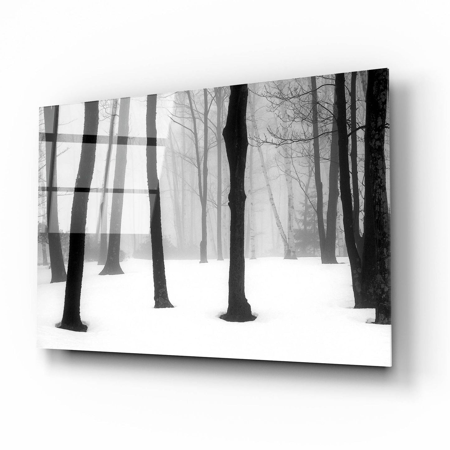 Epic Art ' Winter Fog' by Kelly Sinclair, Acrylic Glass Wall Art,16x12