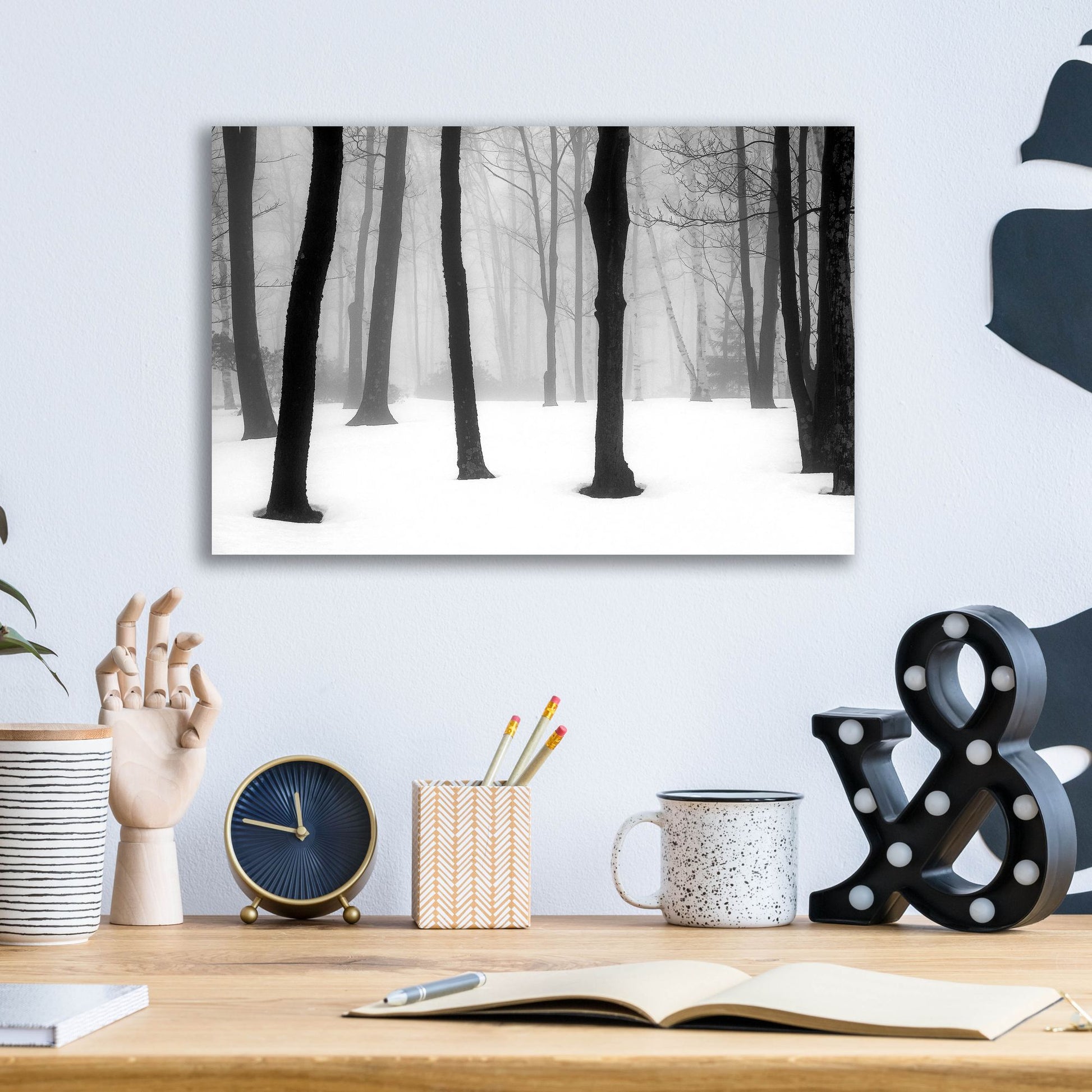 Epic Art ' Winter Fog' by Kelly Sinclair, Acrylic Glass Wall Art,16x12