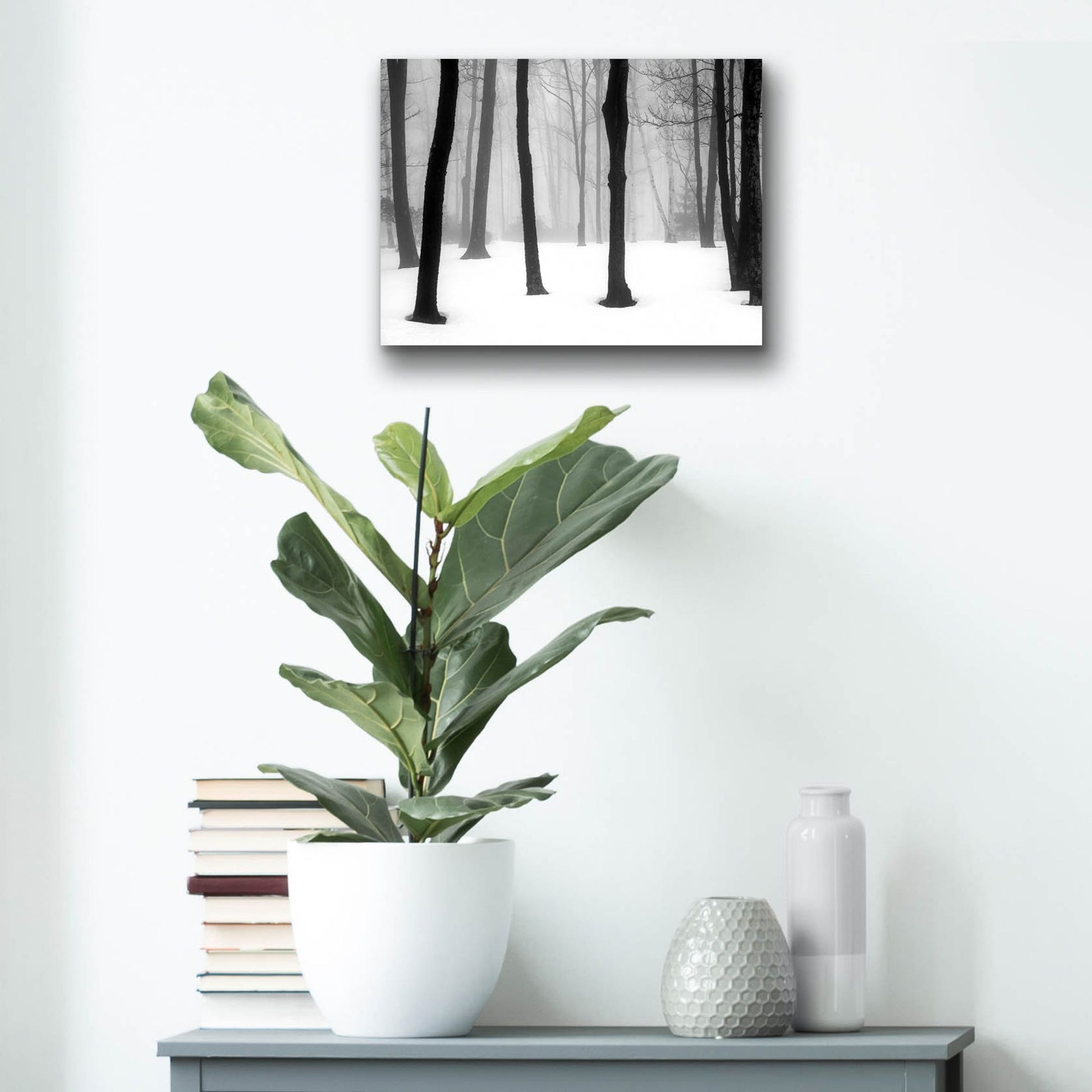 Epic Art ' Winter Fog' by Kelly Sinclair, Acrylic Glass Wall Art,16x12