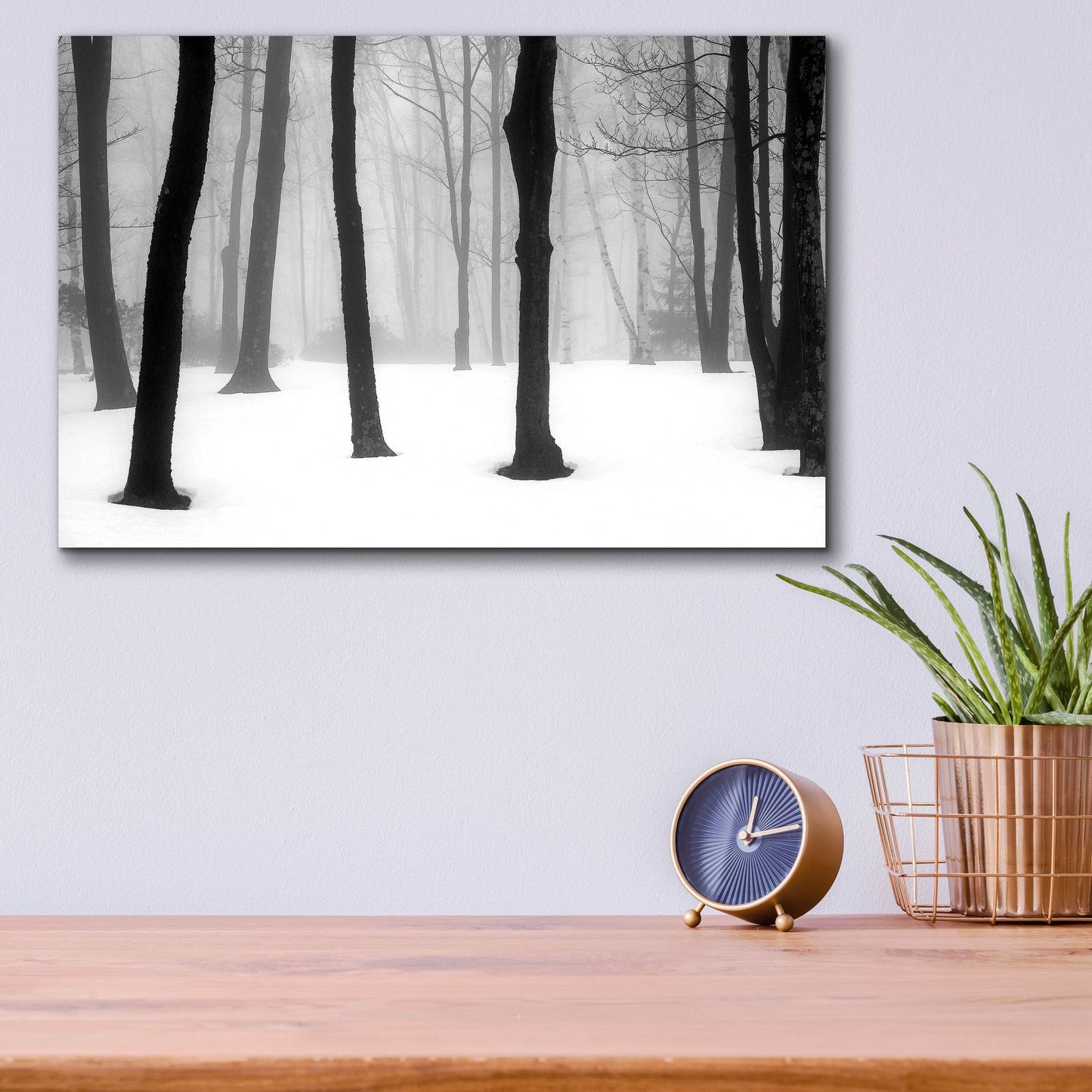 Epic Art ' Winter Fog' by Kelly Sinclair, Acrylic Glass Wall Art,16x12