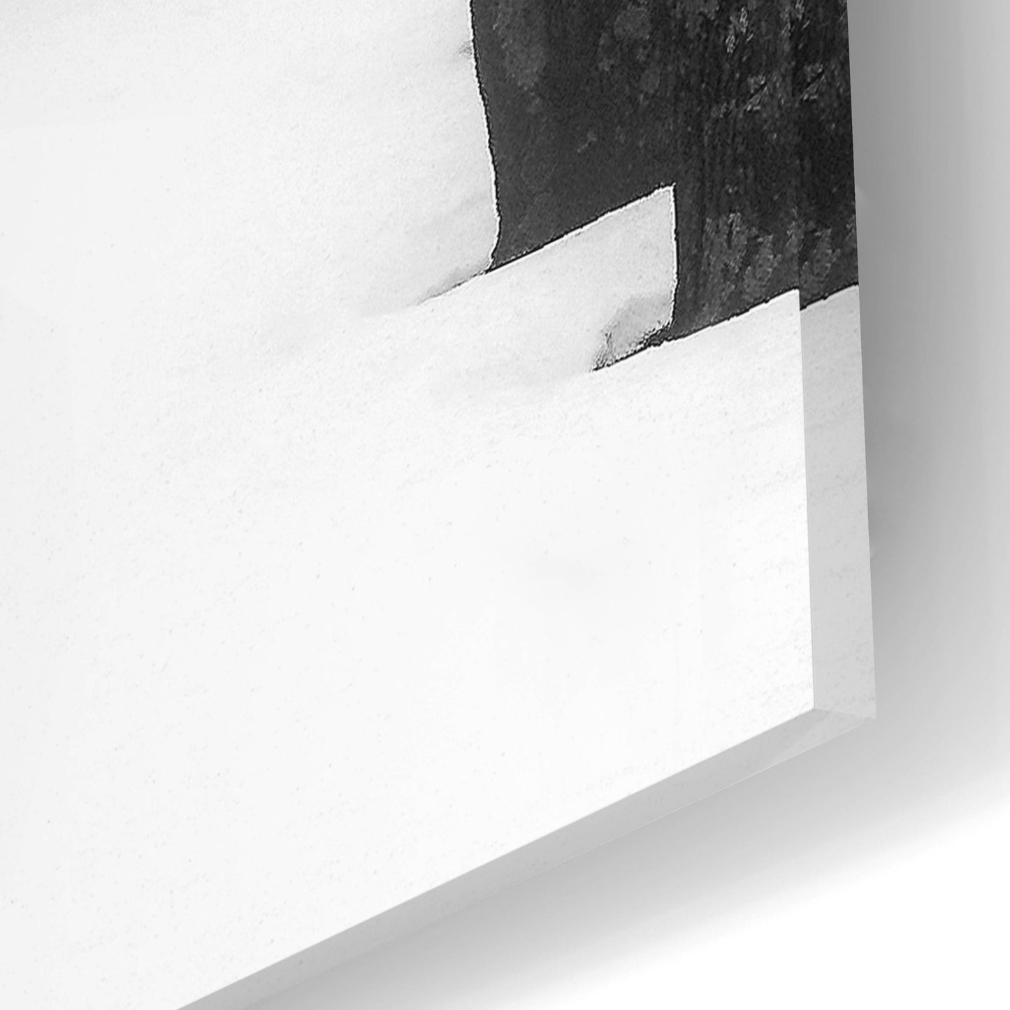 Epic Art ' Winter Fog' by Kelly Sinclair, Acrylic Glass Wall Art,24x16