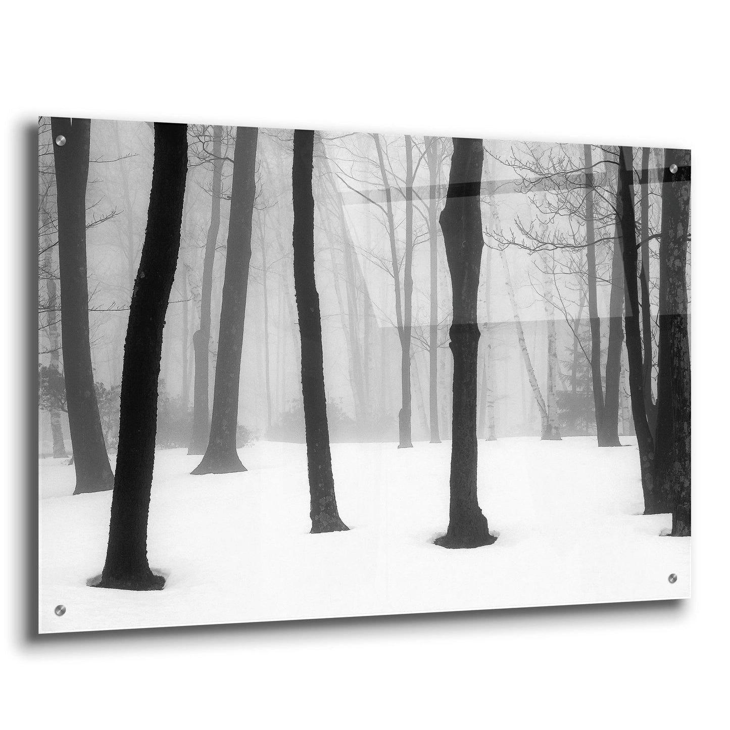Epic Art ' Winter Fog' by Kelly Sinclair, Acrylic Glass Wall Art,36x24