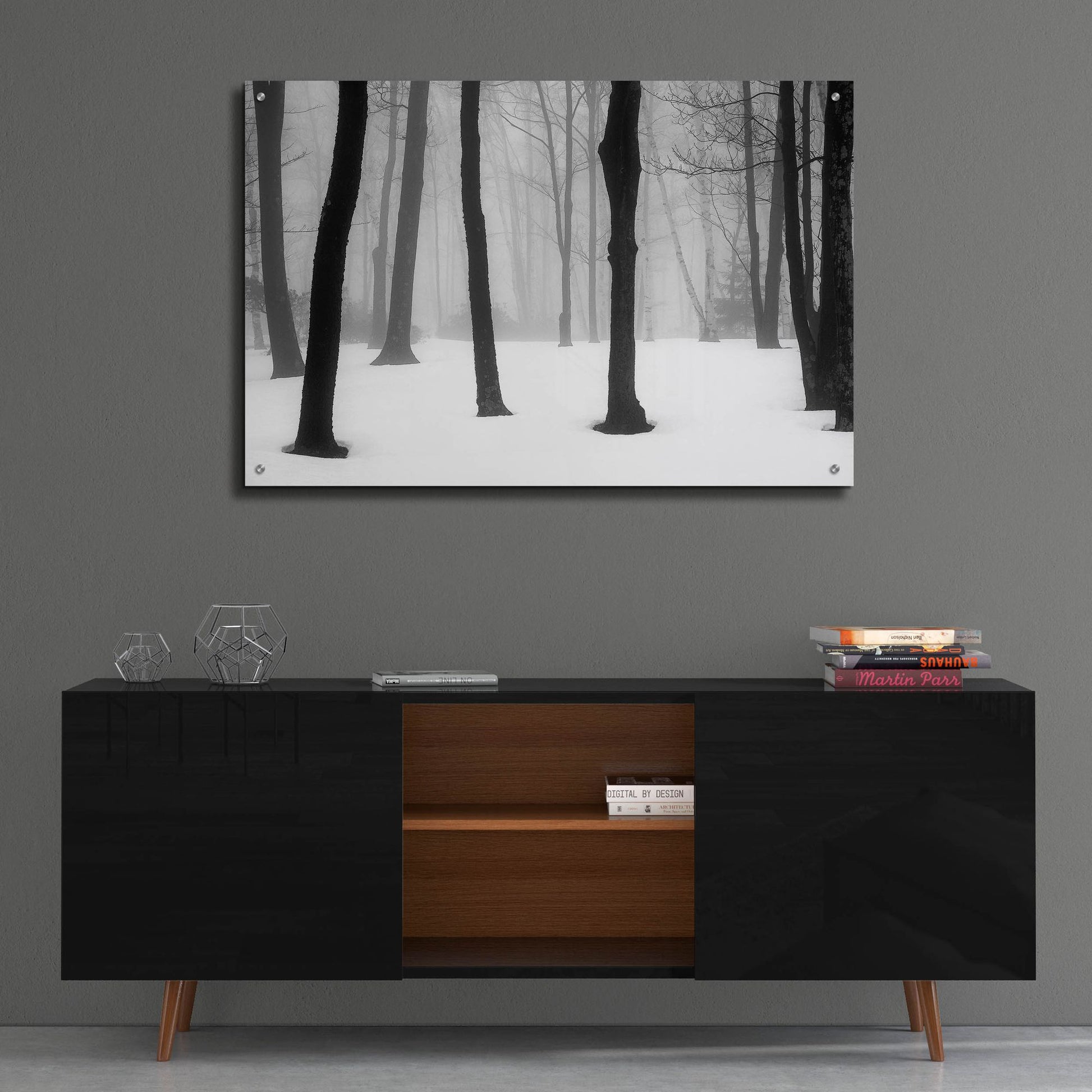 Epic Art ' Winter Fog' by Kelly Sinclair, Acrylic Glass Wall Art,36x24