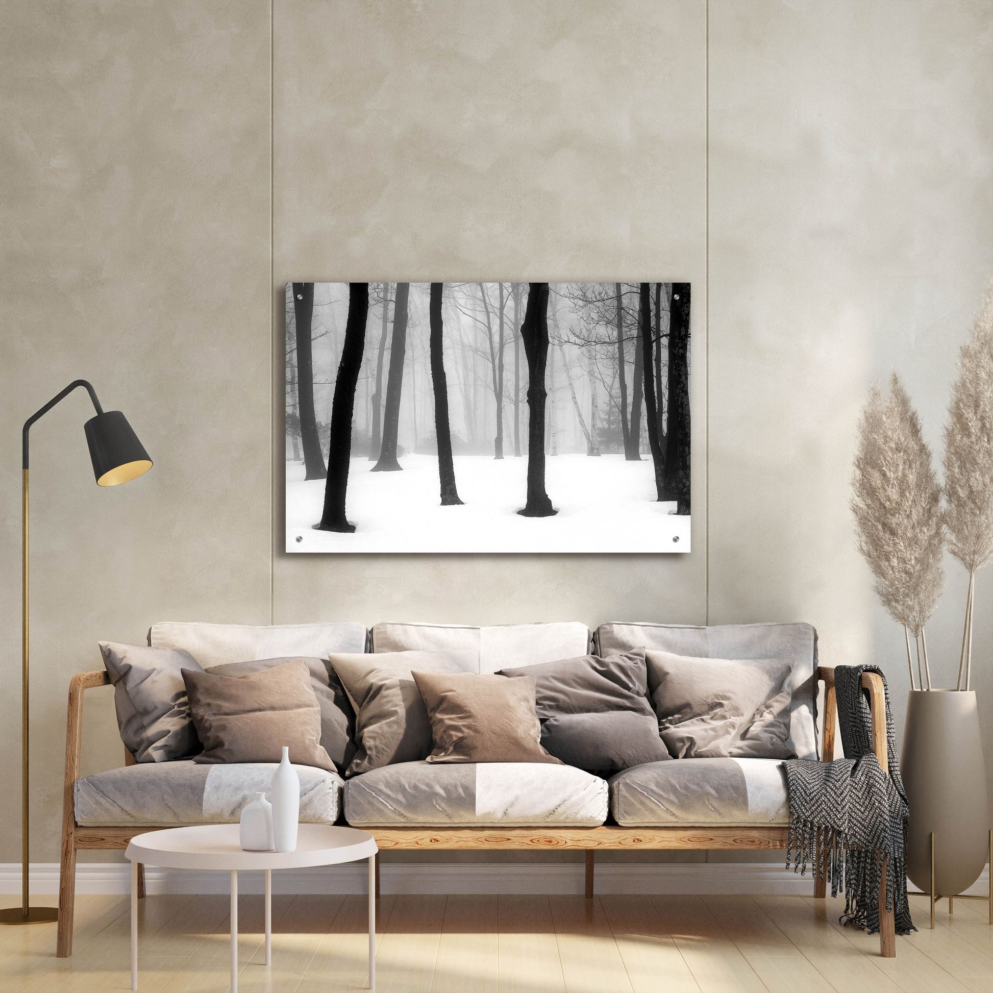 Epic Art ' Winter Fog' by Kelly Sinclair, Acrylic Glass Wall Art,36x24