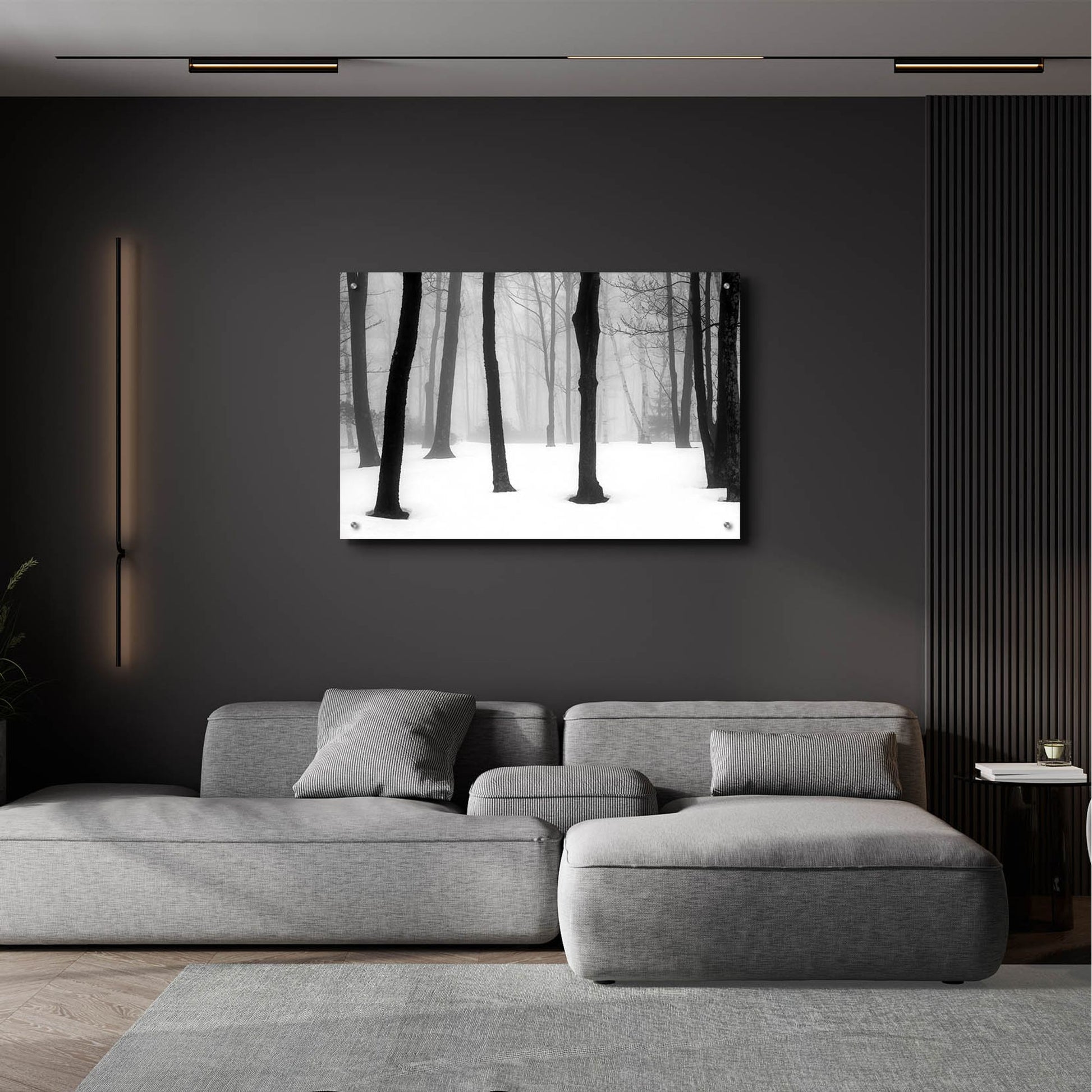 Epic Art ' Winter Fog' by Kelly Sinclair, Acrylic Glass Wall Art,36x24